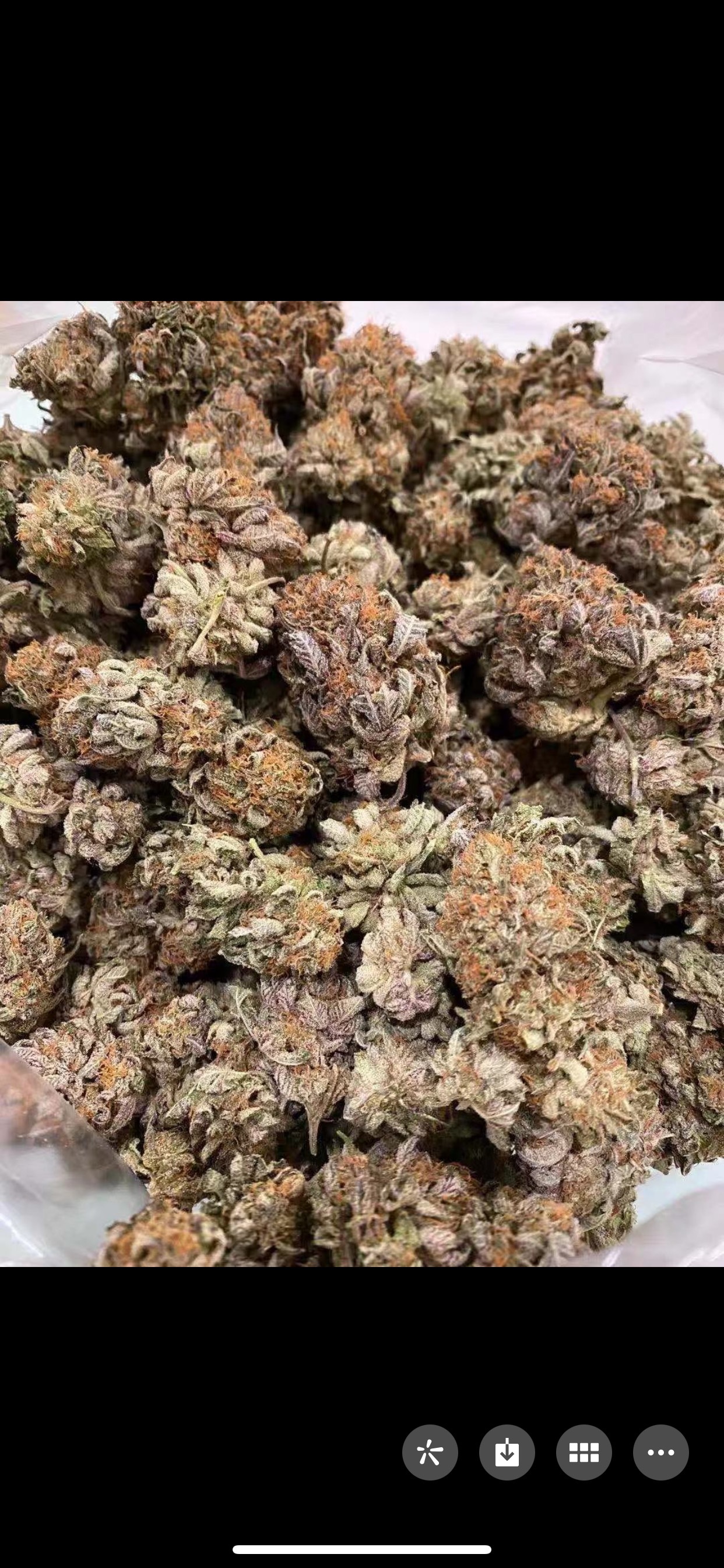 Hightimes420 OnlyFans