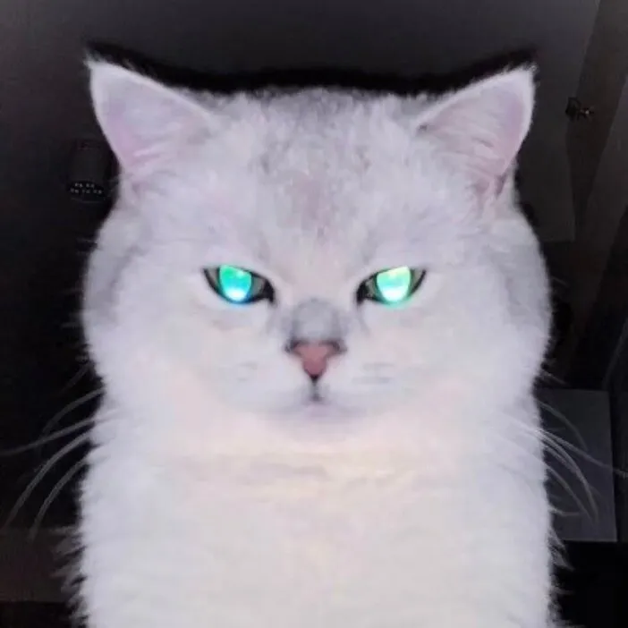 H OnlyFans profile picture