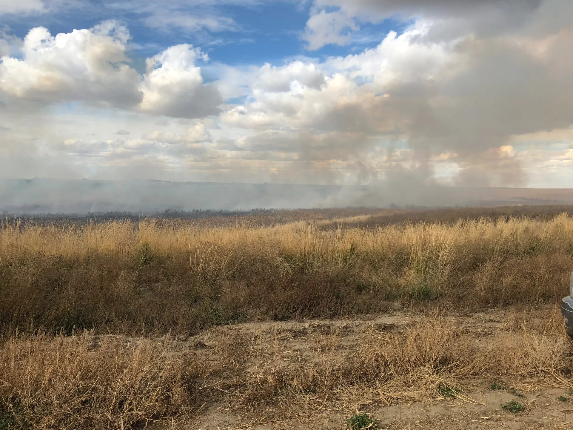 2m4nyru1es OnlyFans header