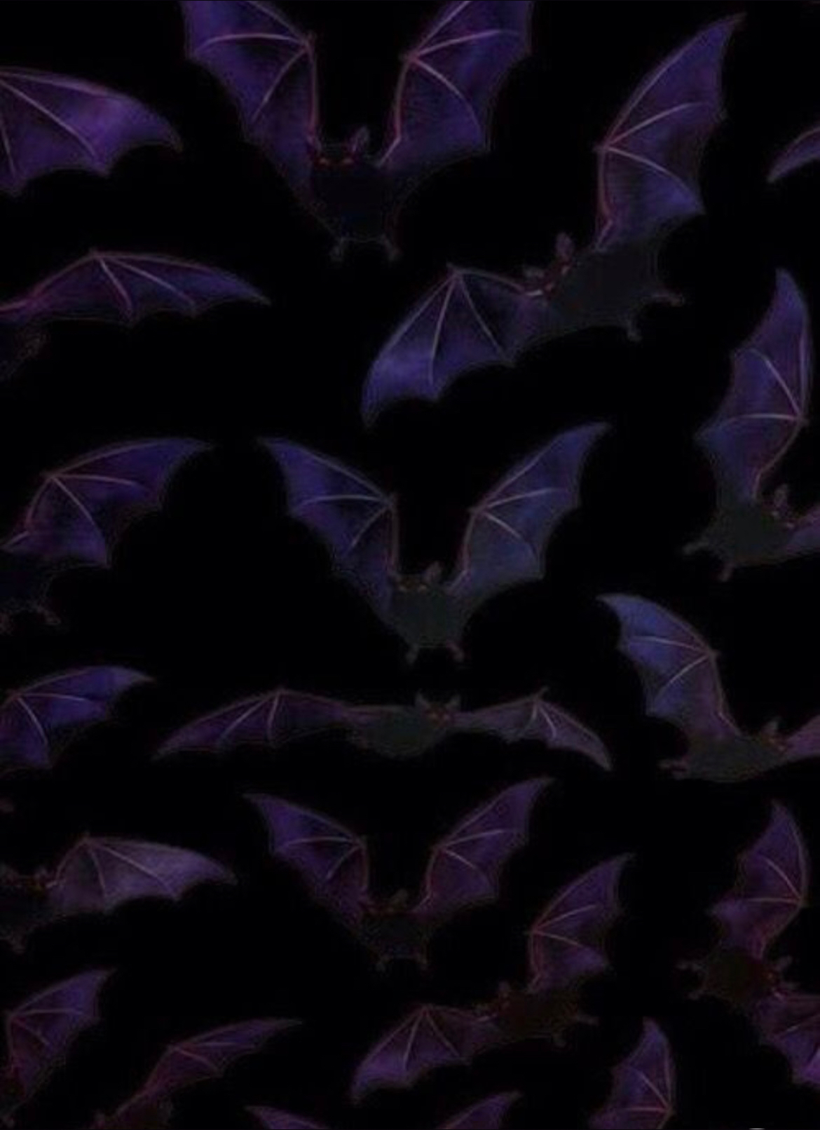 em ° ᡣ𐭩 . ° . OnlyFans header