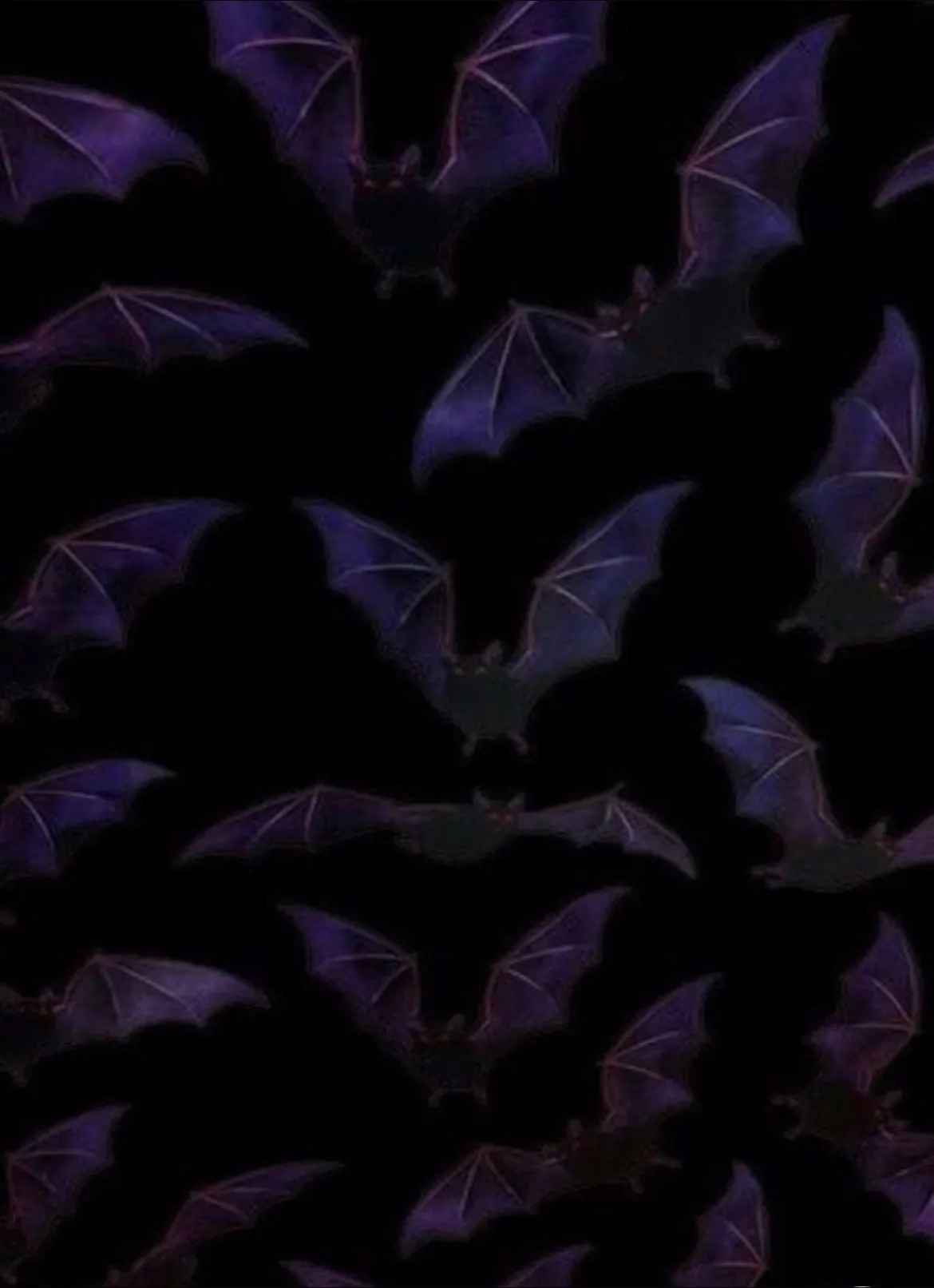 em ° ᡣ𐭩 . ° . OnlyFans header