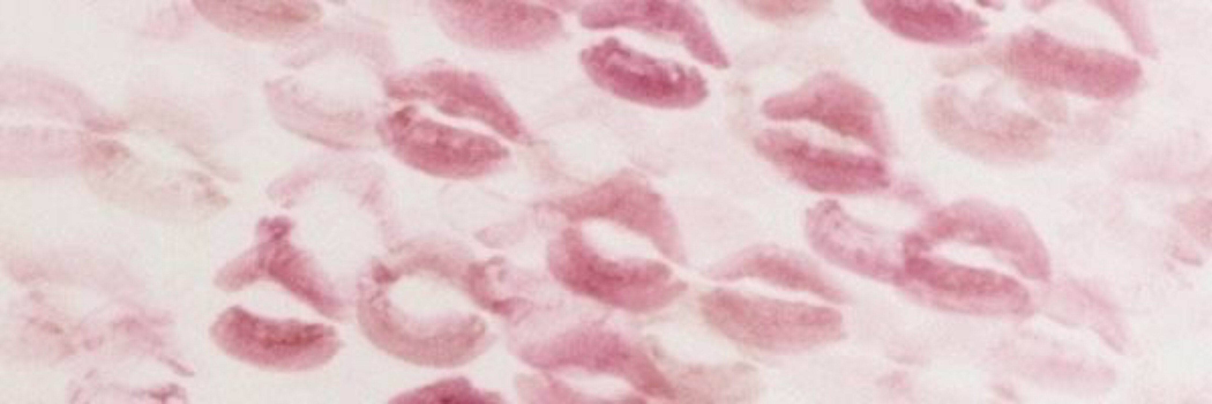 3milyyyy OnlyFans header