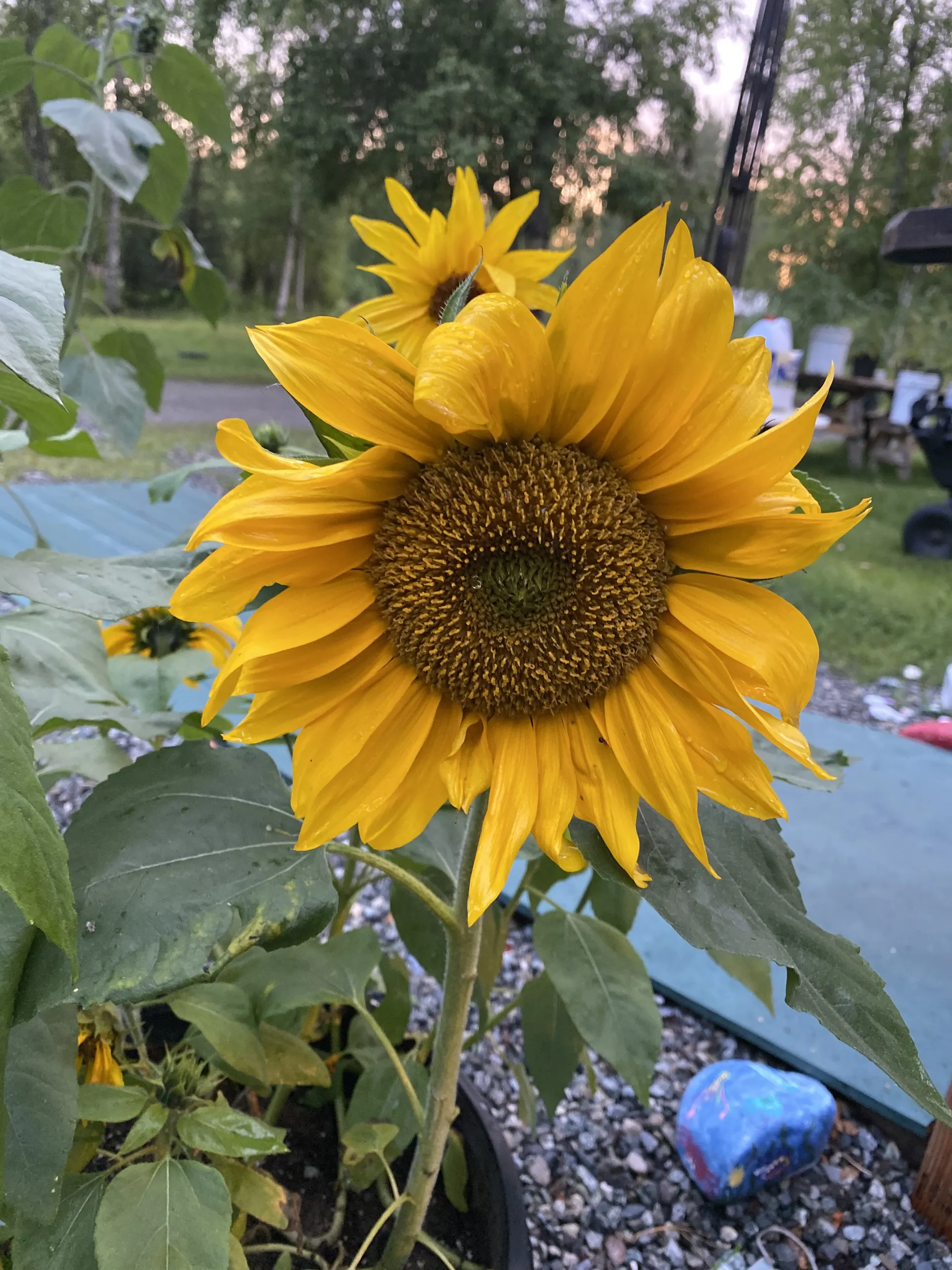 420bonghits4jesus69 OnlyFans header