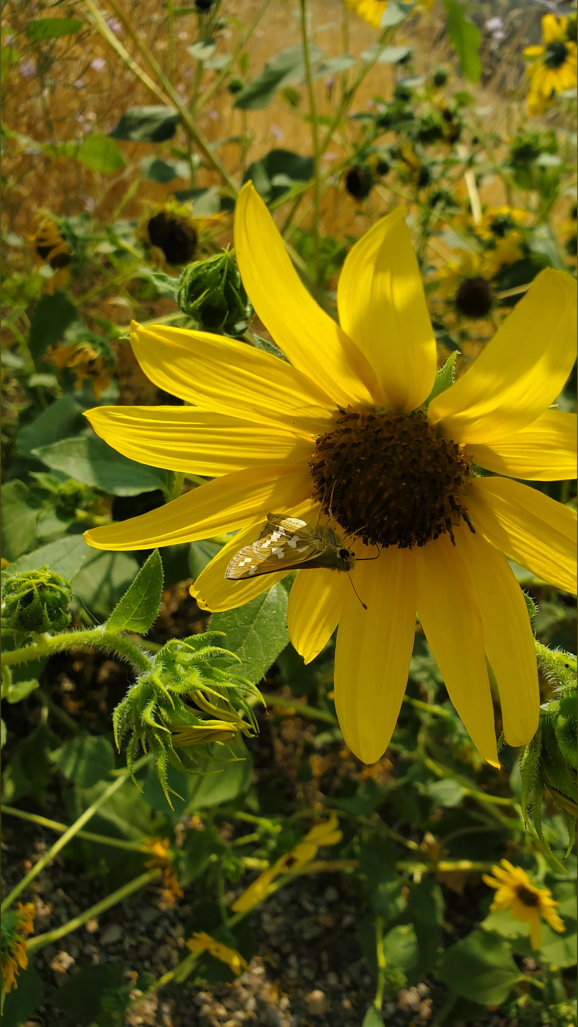 Meganluvs420 OnlyFans header