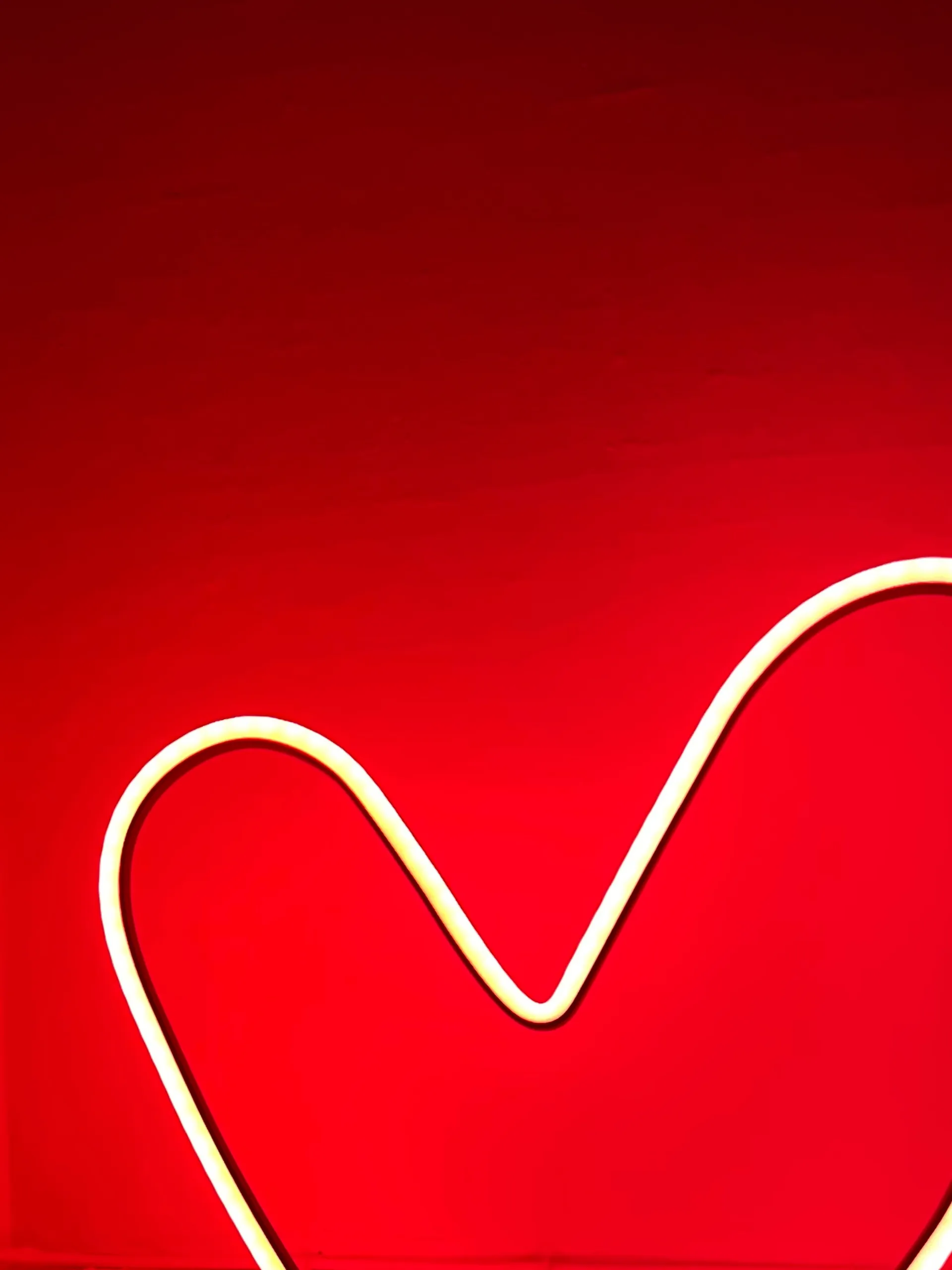 4REALBRA OnlyFans header