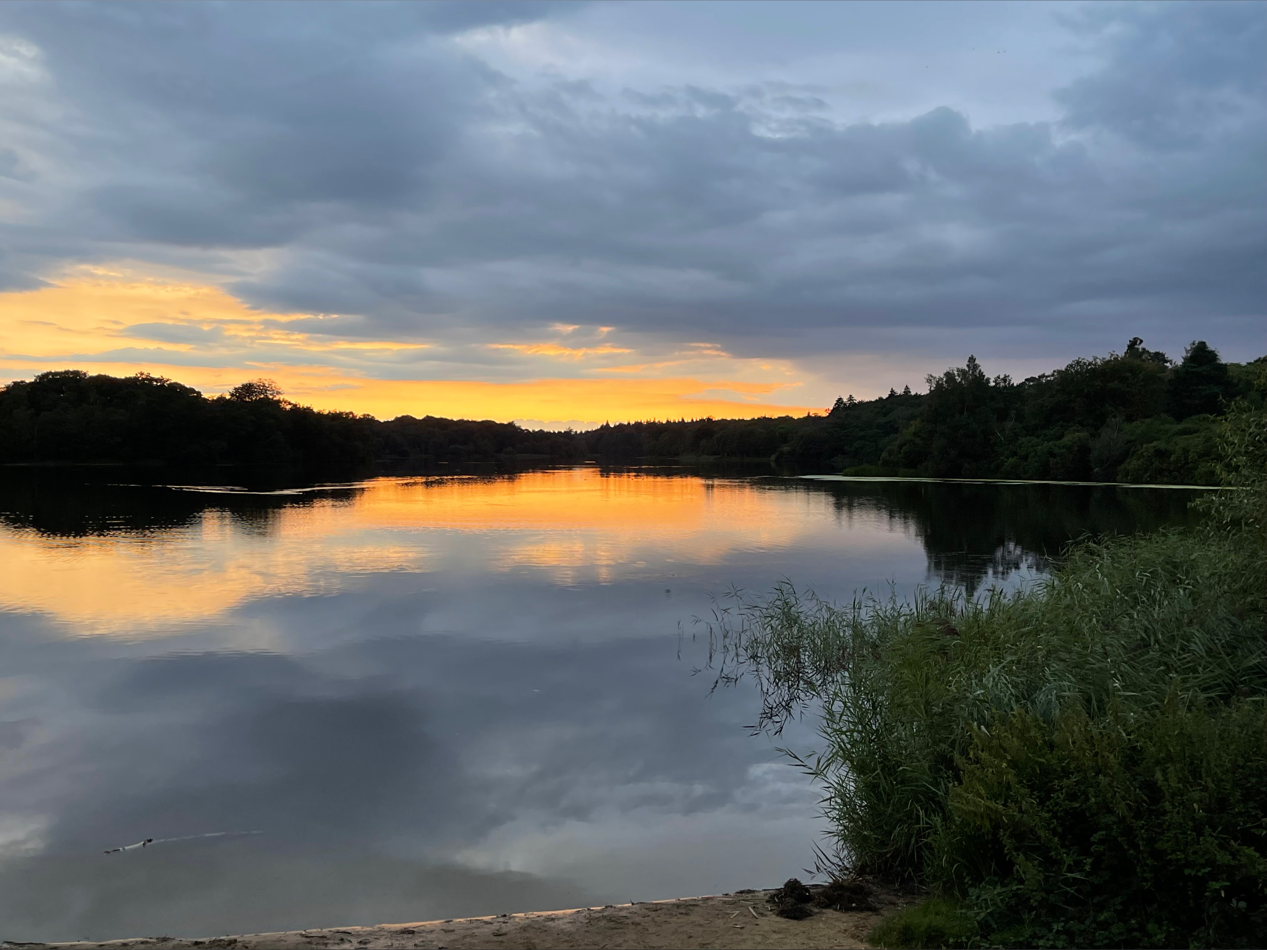 Em.free4you🔥 OnlyFans header