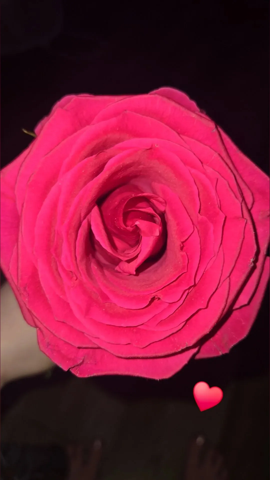 $uicideprincess OnlyFans header