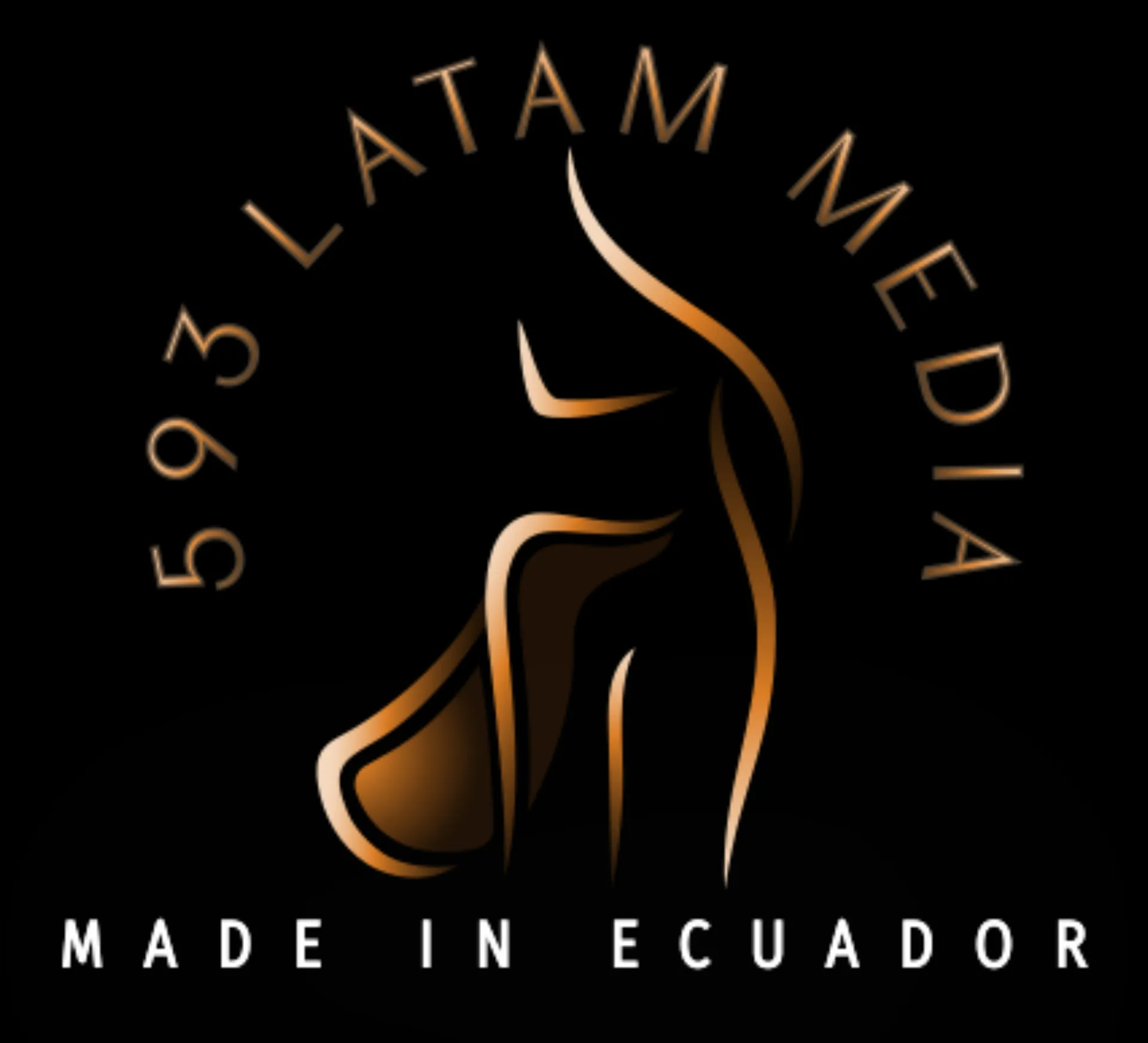 593 Latam Media