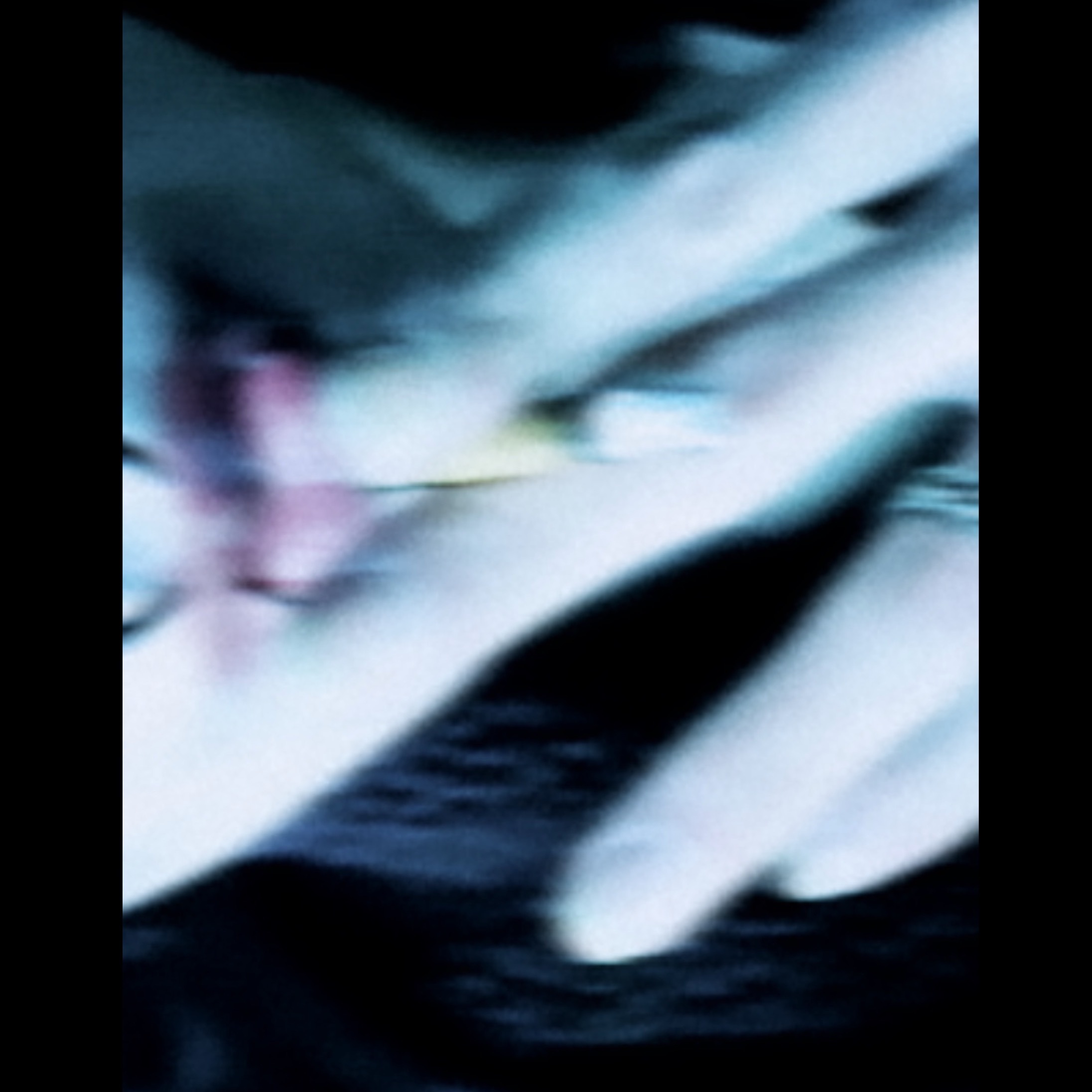 🦇 OnlyFans header