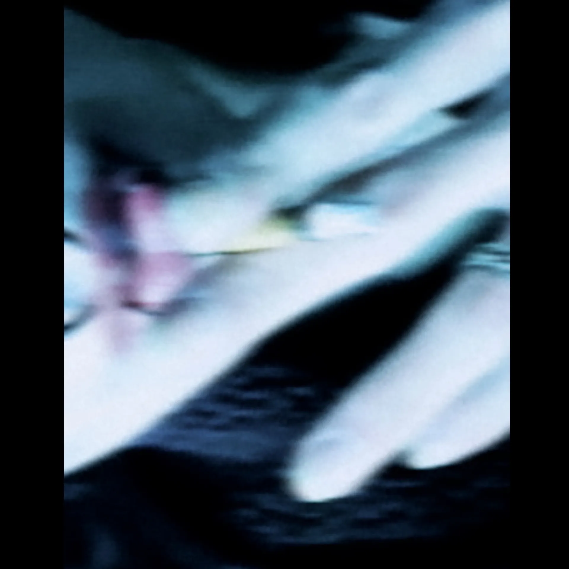 🦇 OnlyFans header