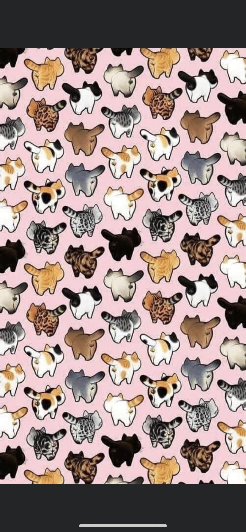 Muñeca OnlyFans header