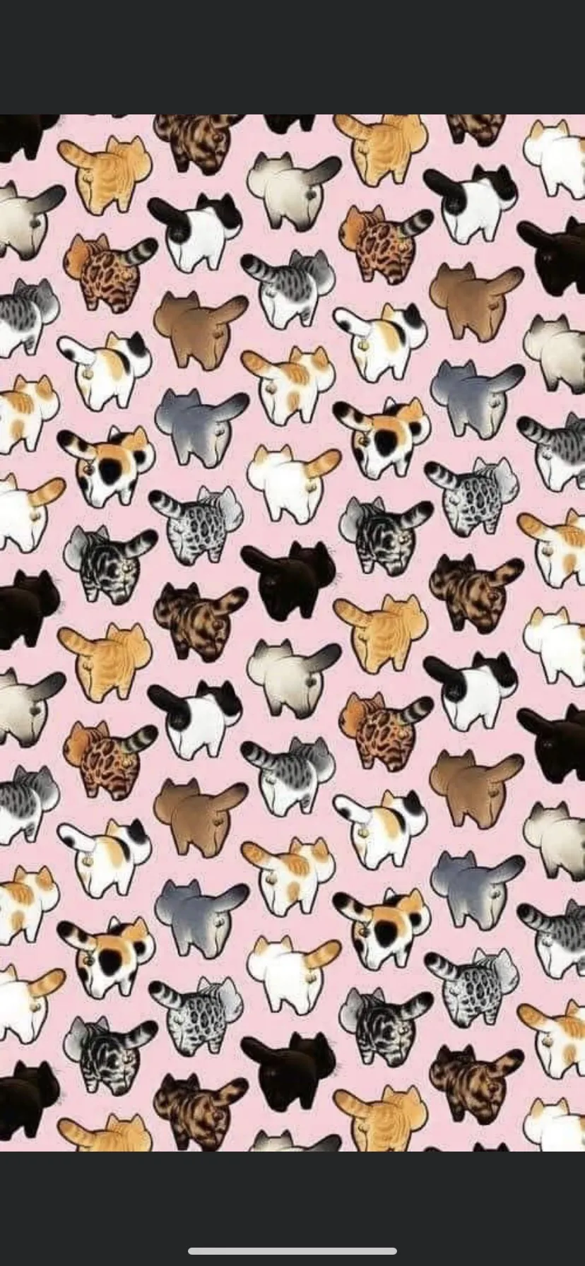 Muñeca OnlyFans header