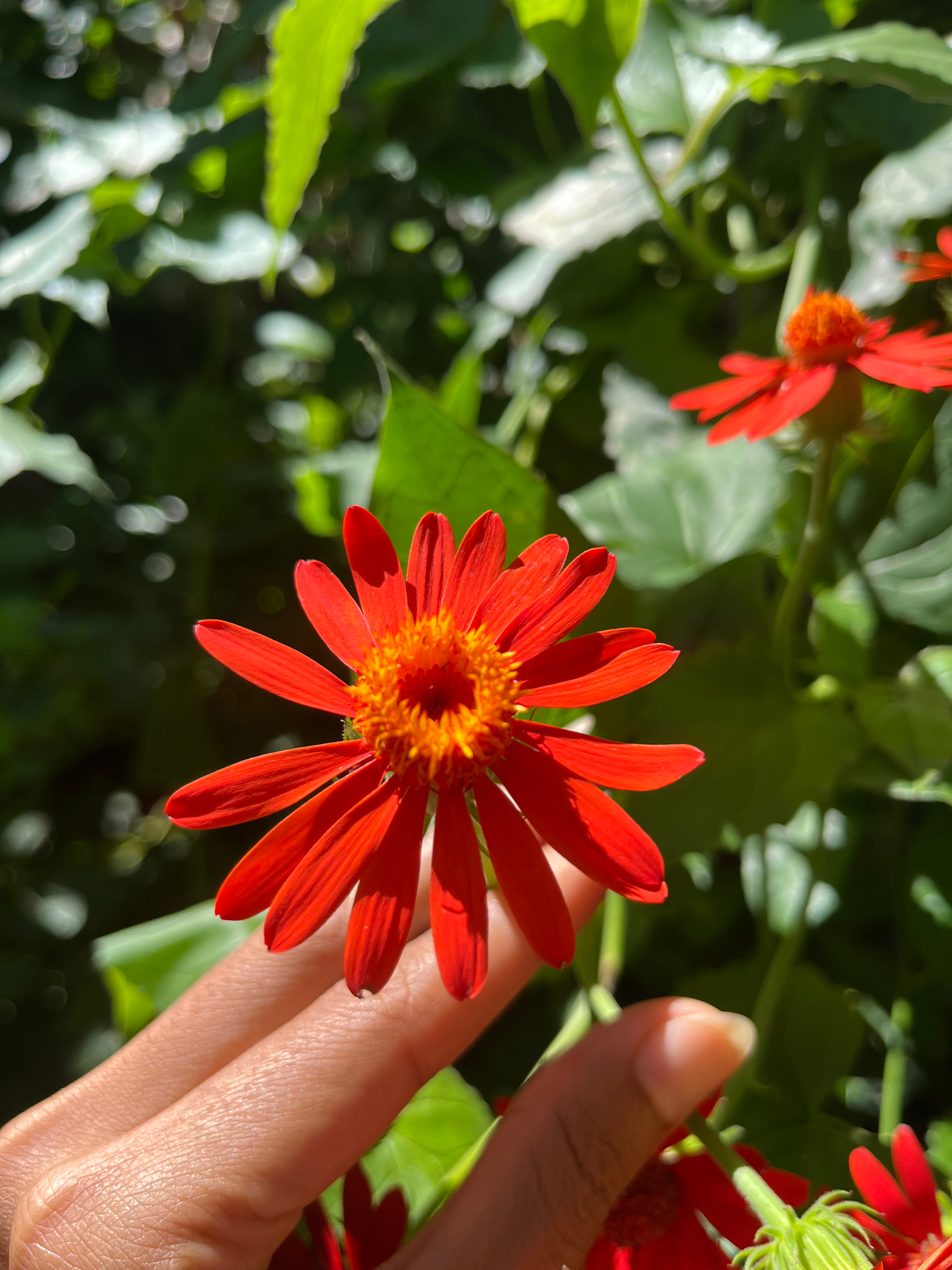 Spicy OnlyFans header