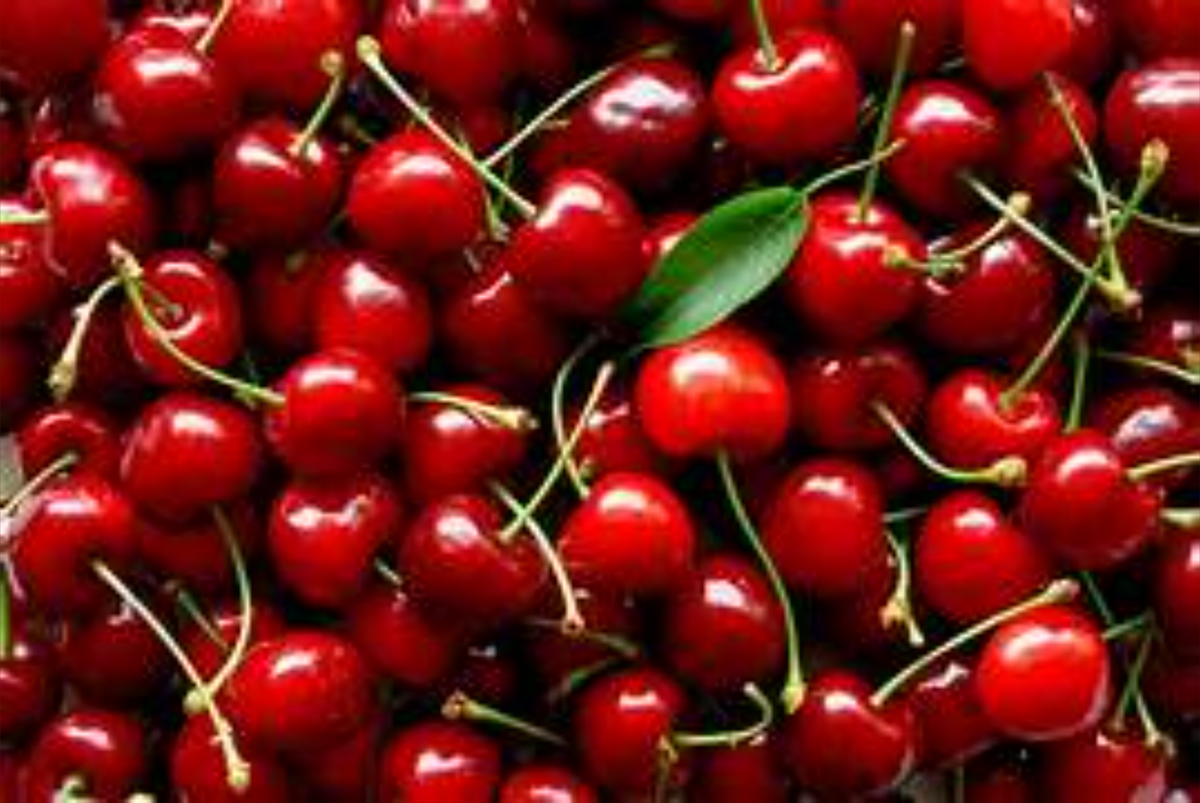 DoLL AnGeL OnlyFans header