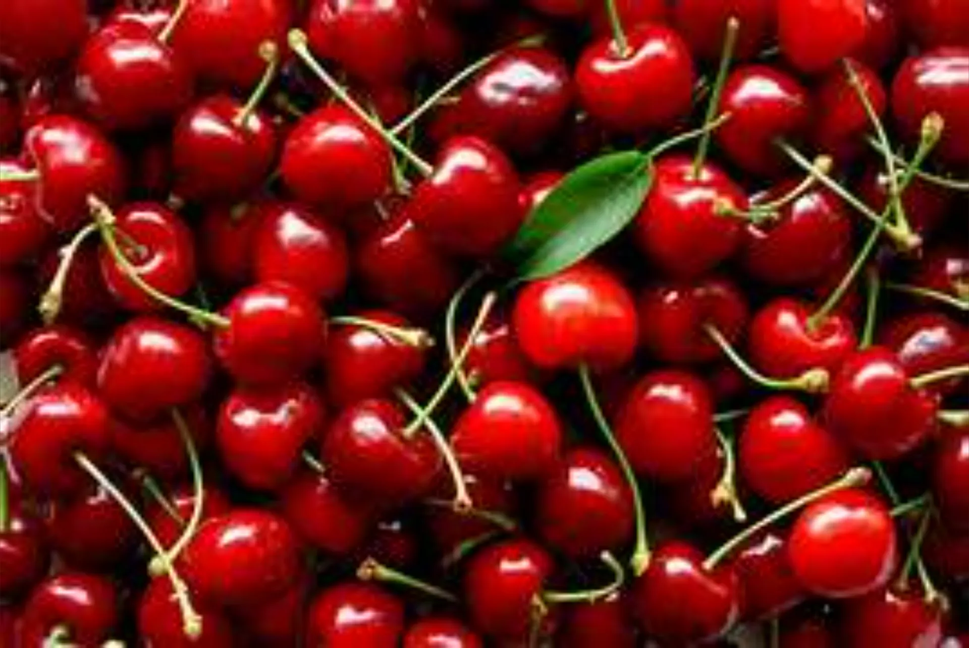 DoLL AnGeL OnlyFans header