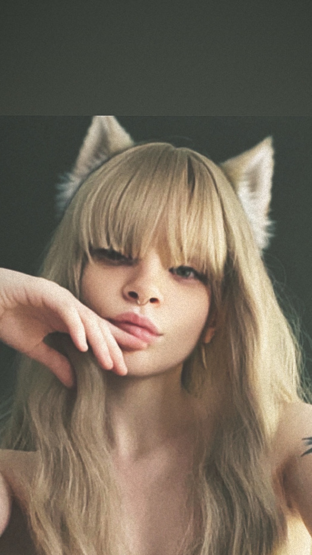 Tiny Terror OnlyFans header