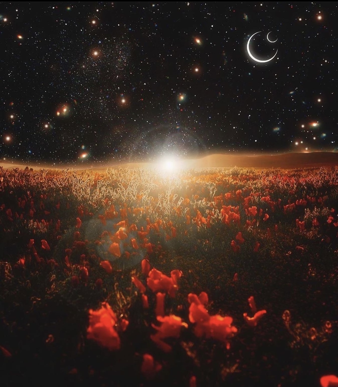 702latino OnlyFans header