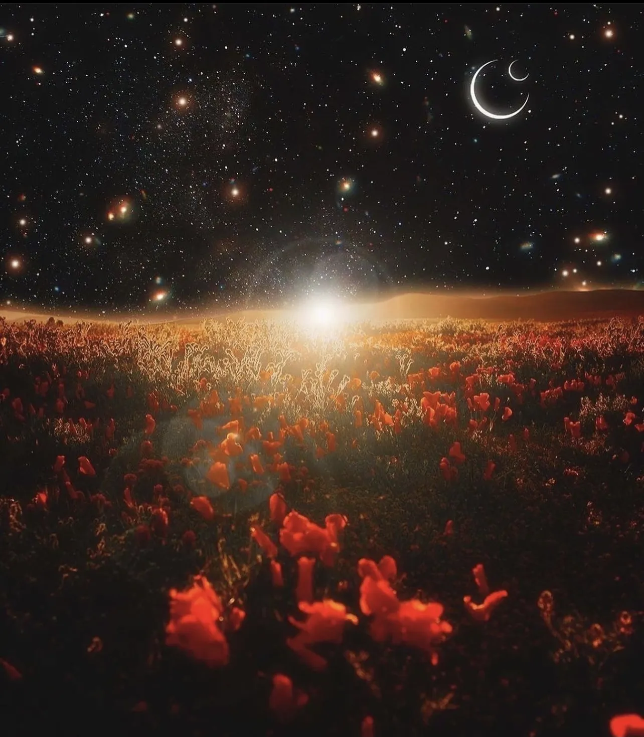 702latino OnlyFans header