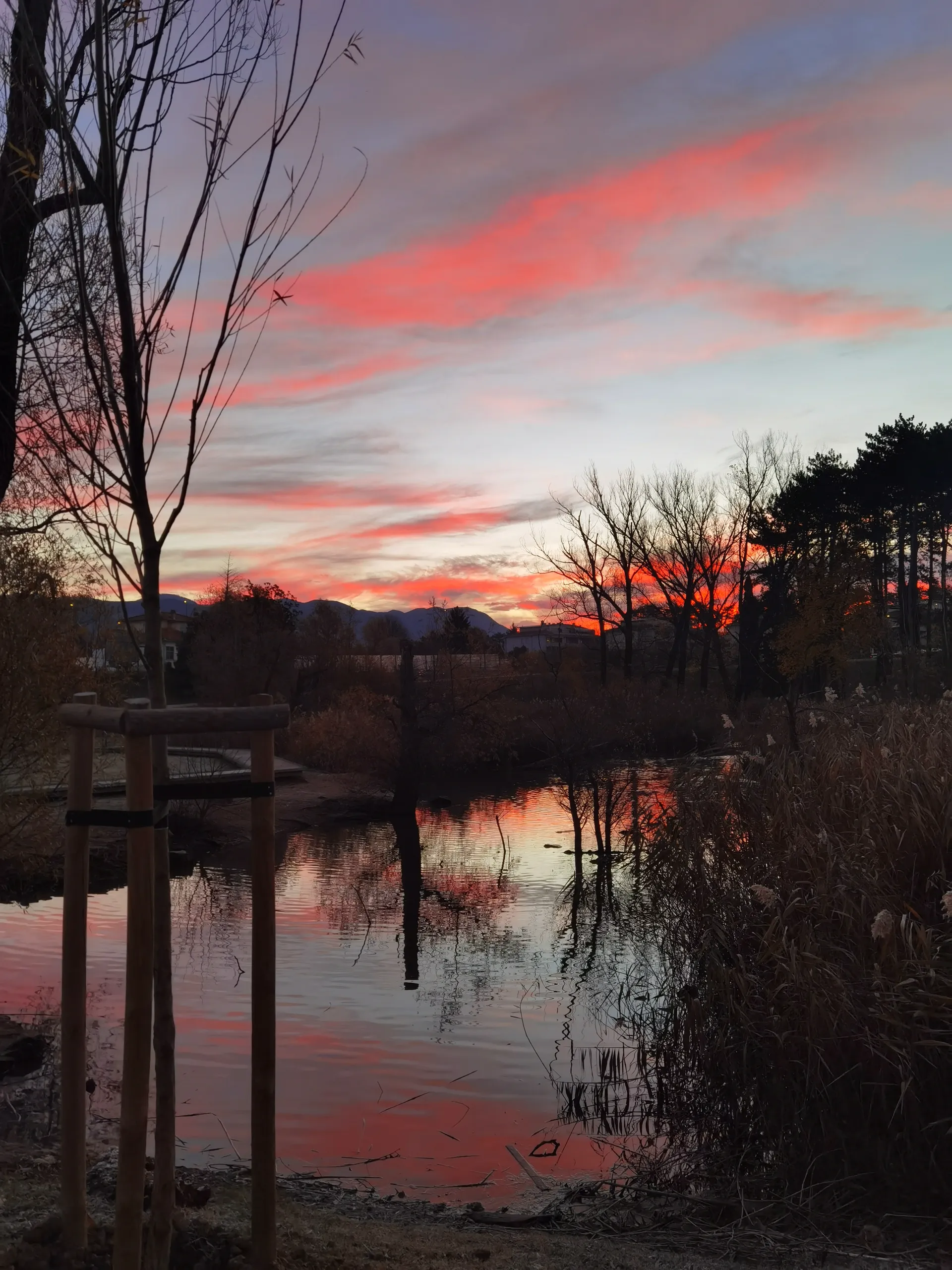 BlueGirl OnlyFans header