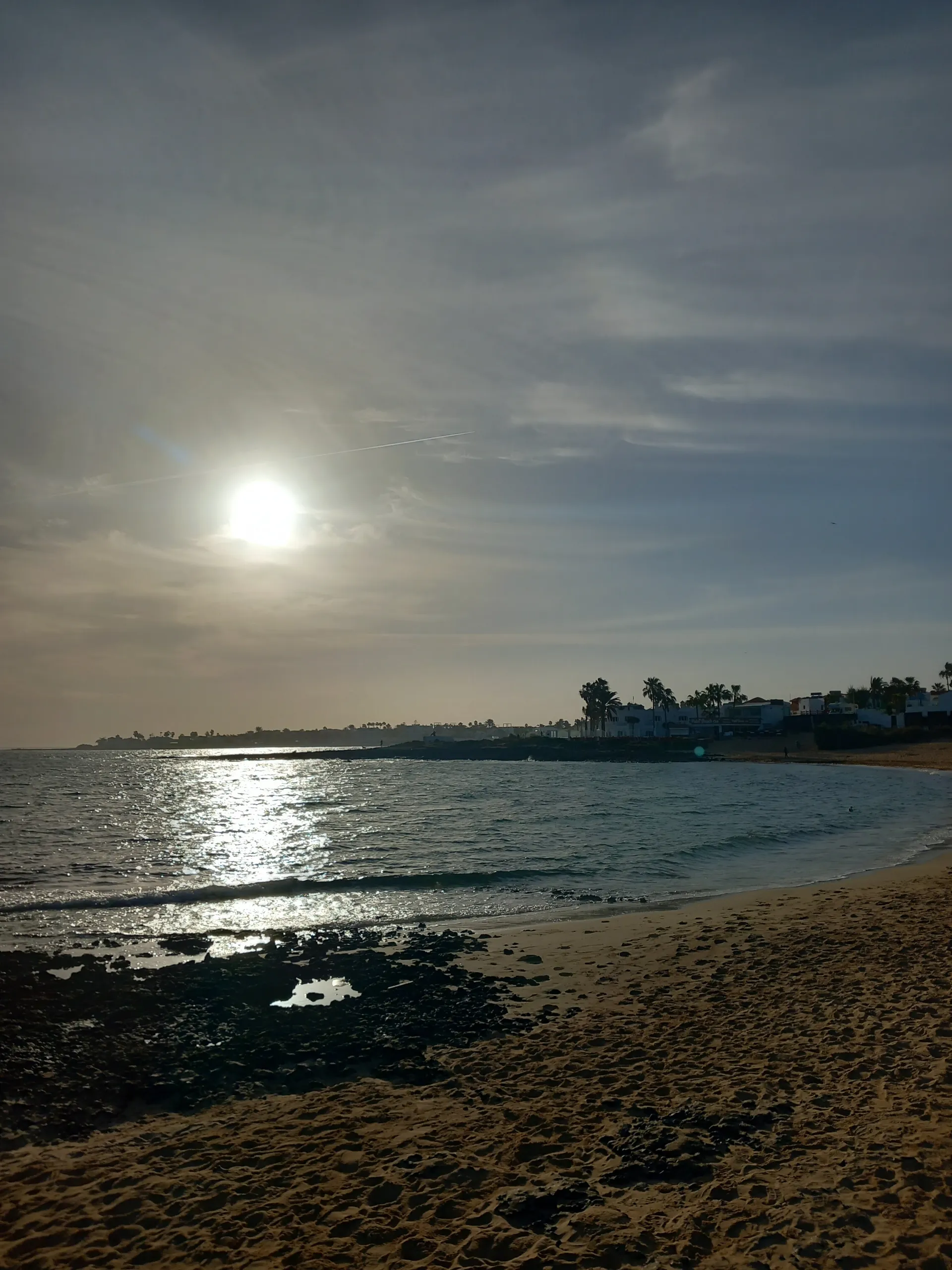 Cubanito85 OnlyFans header