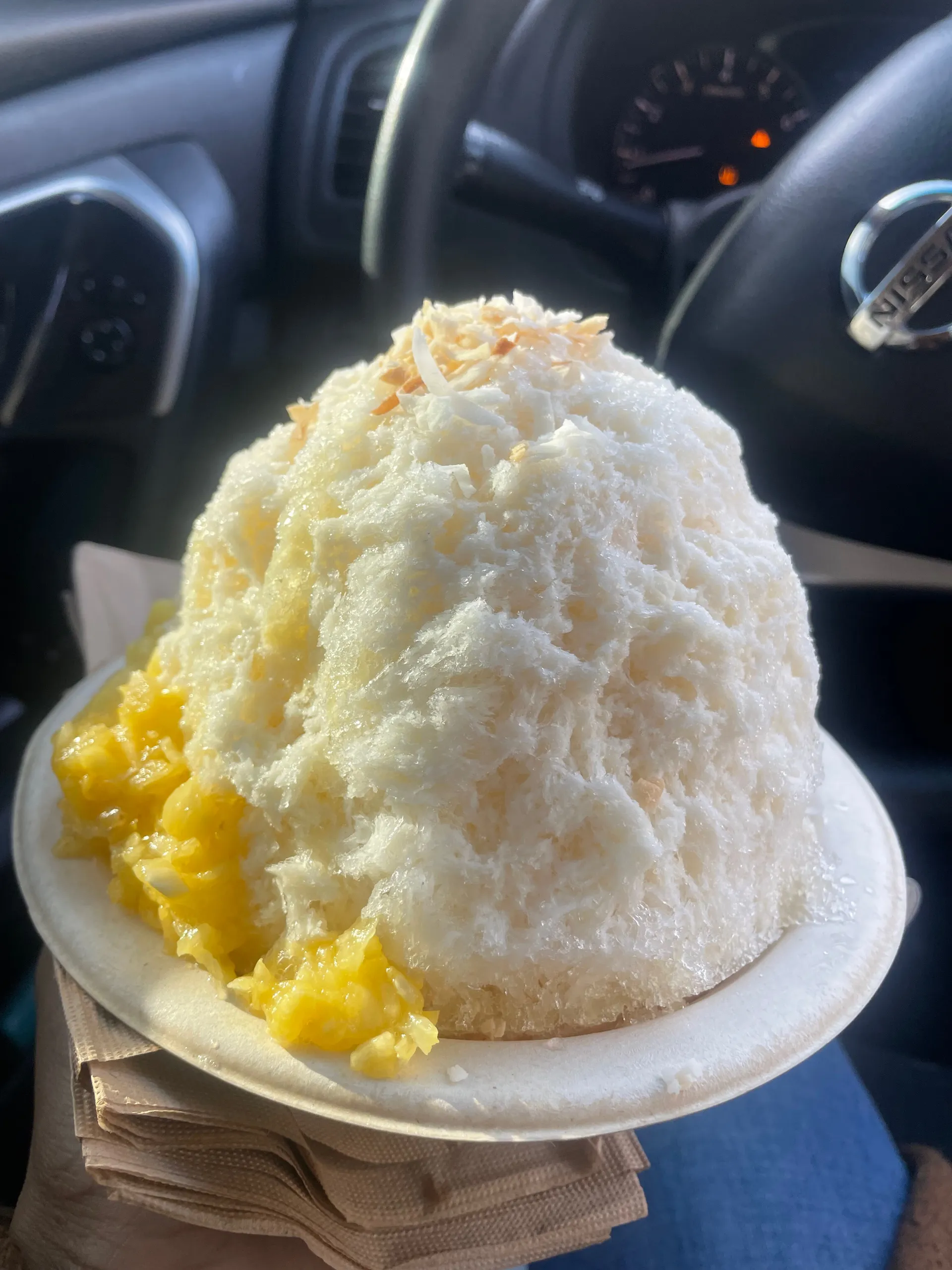 bushmommy OnlyFans header