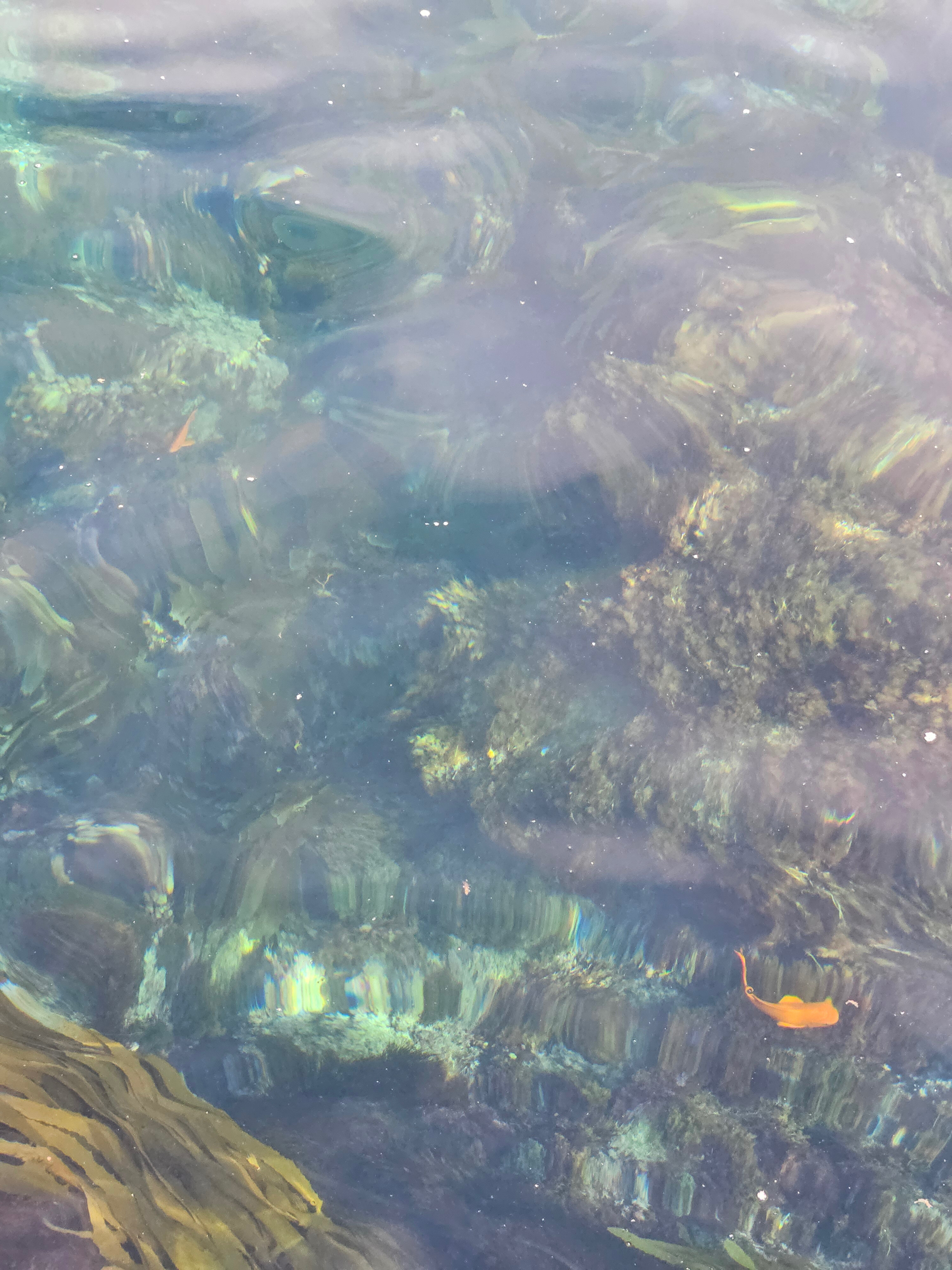 Jock OnlyFans header