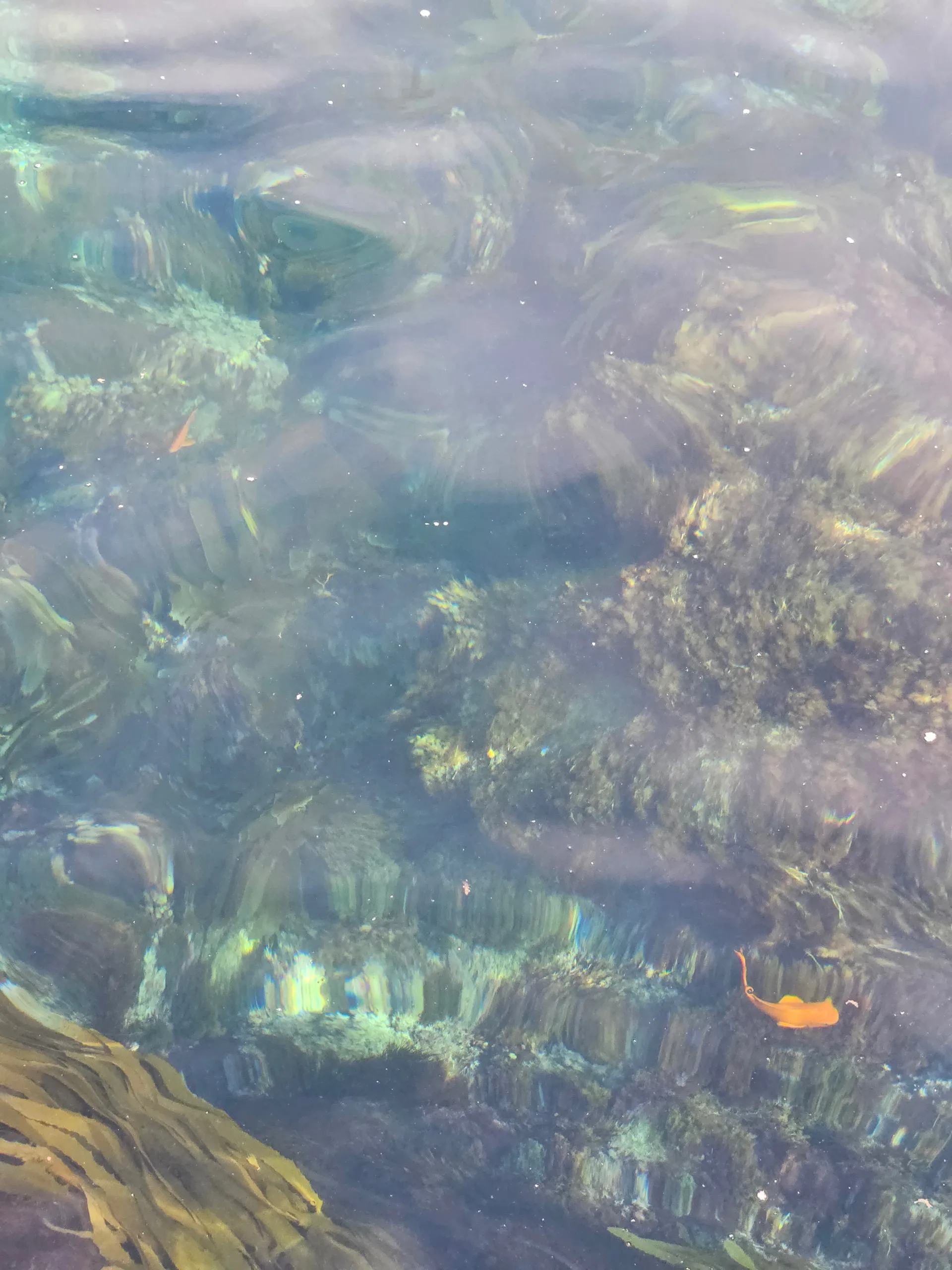 Jock OnlyFans header