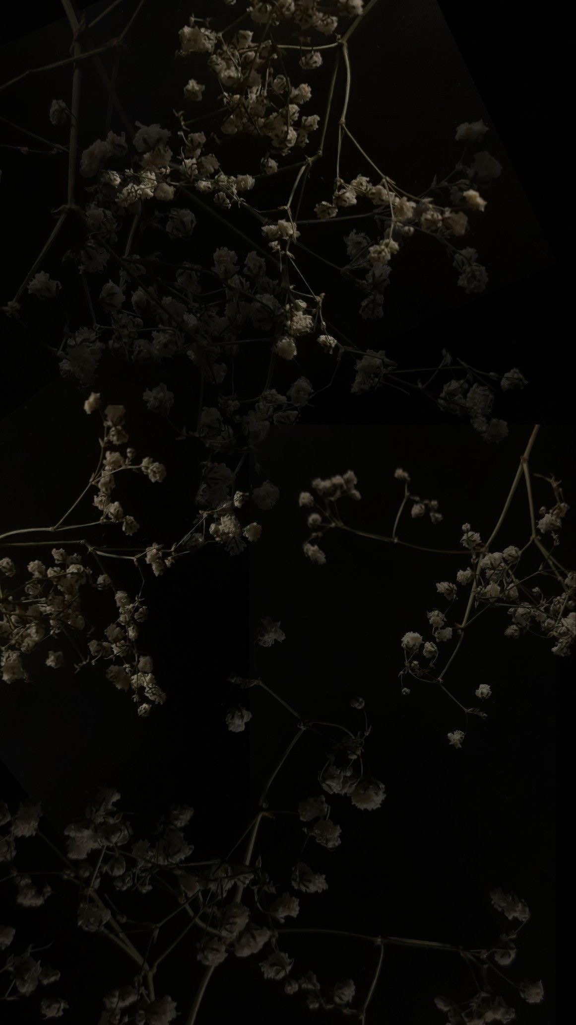 Fae_Feet🧚🏼‍♀️ OnlyFans header