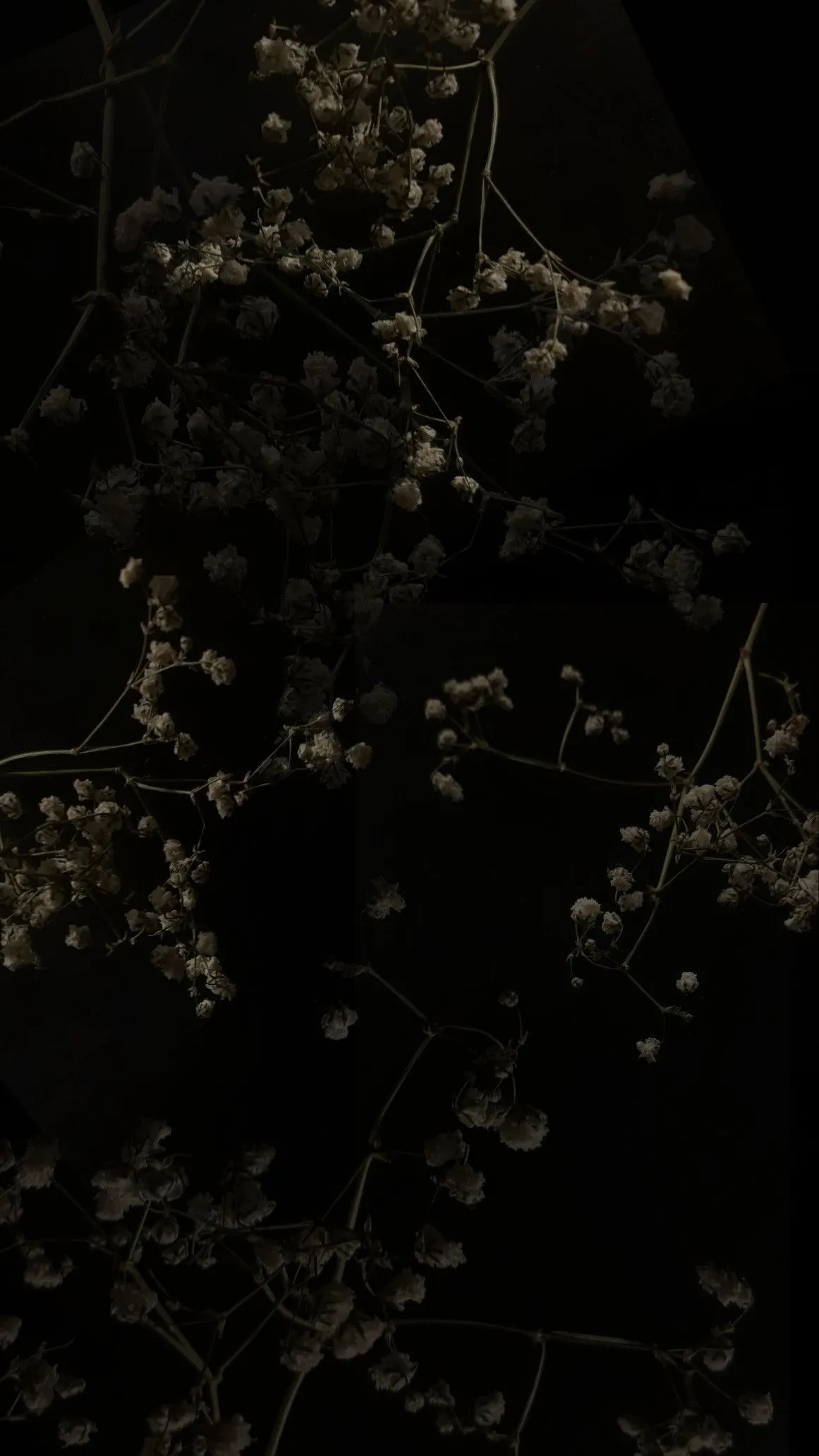 Fae_Feet🧚🏼‍♀️ OnlyFans header