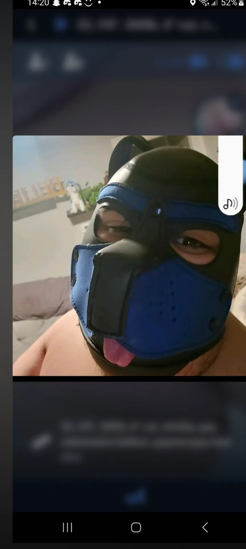 That puppy Dexter OnlyFans header