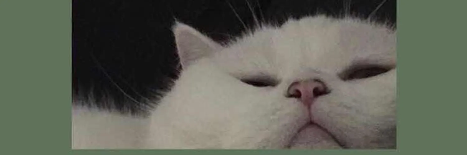 asy OnlyFans header