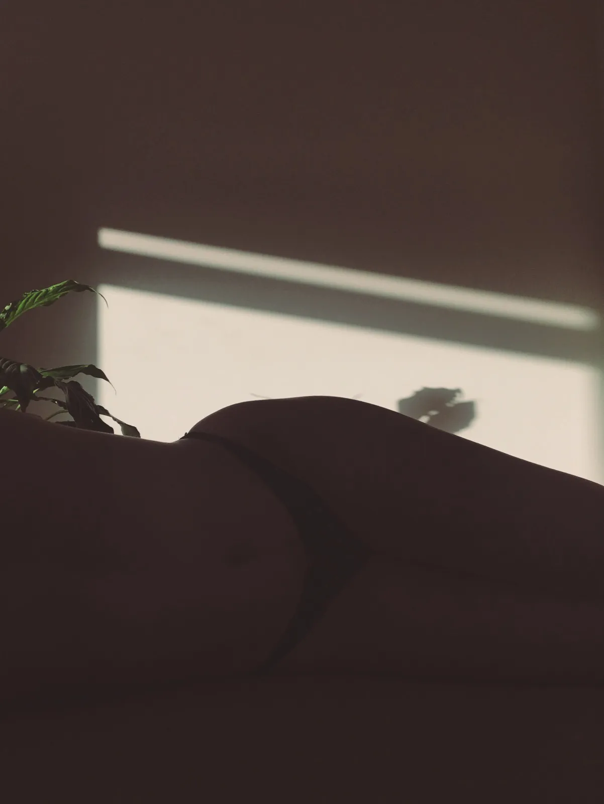 Aubrey Adam OnlyFans header