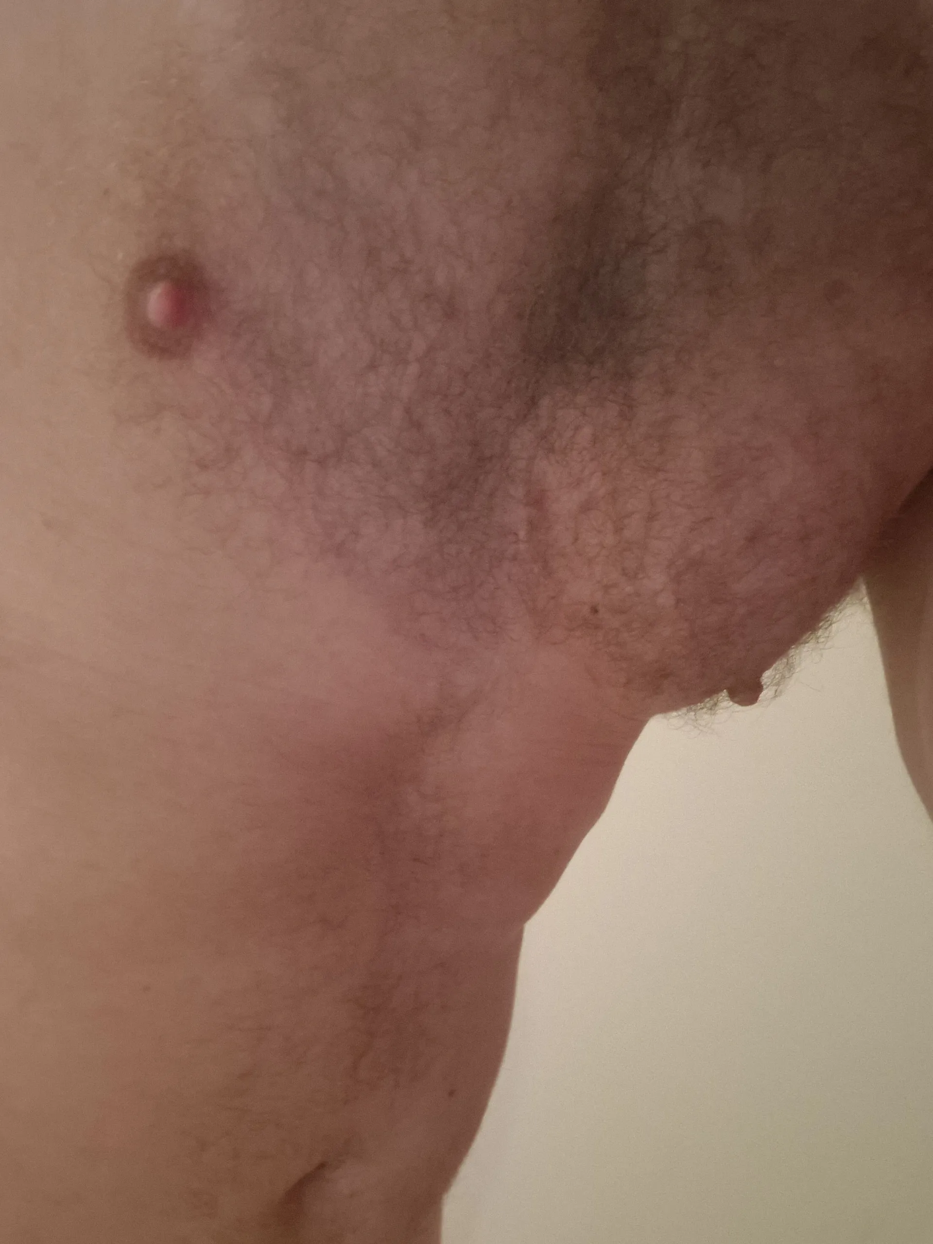 Oggy OnlyFans header