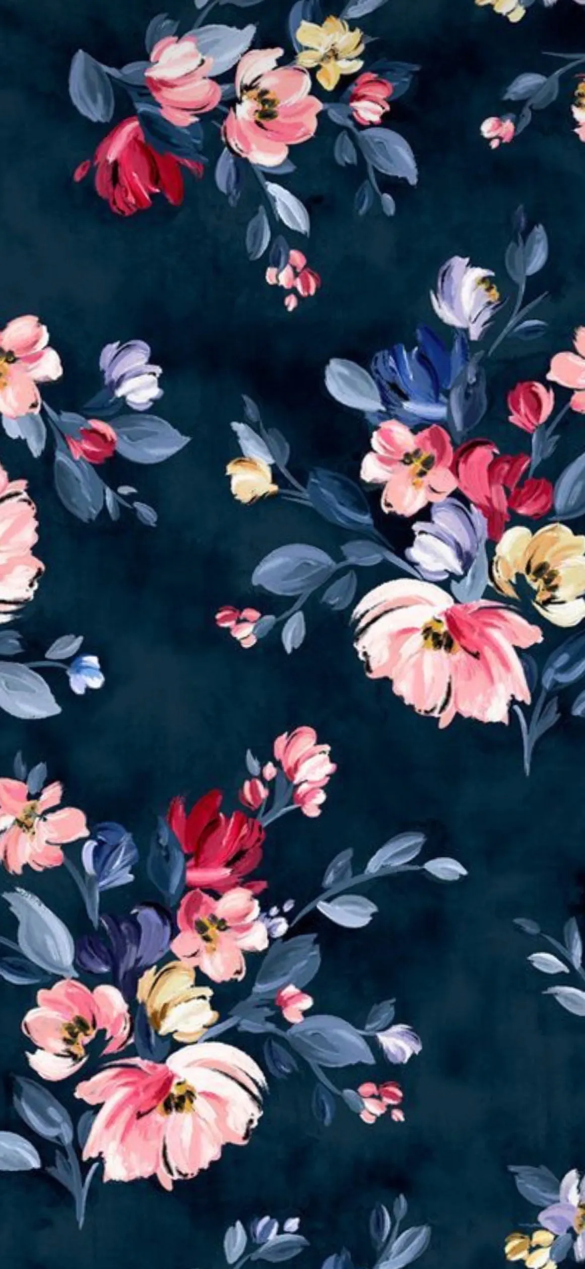 Alexis OnlyFans header