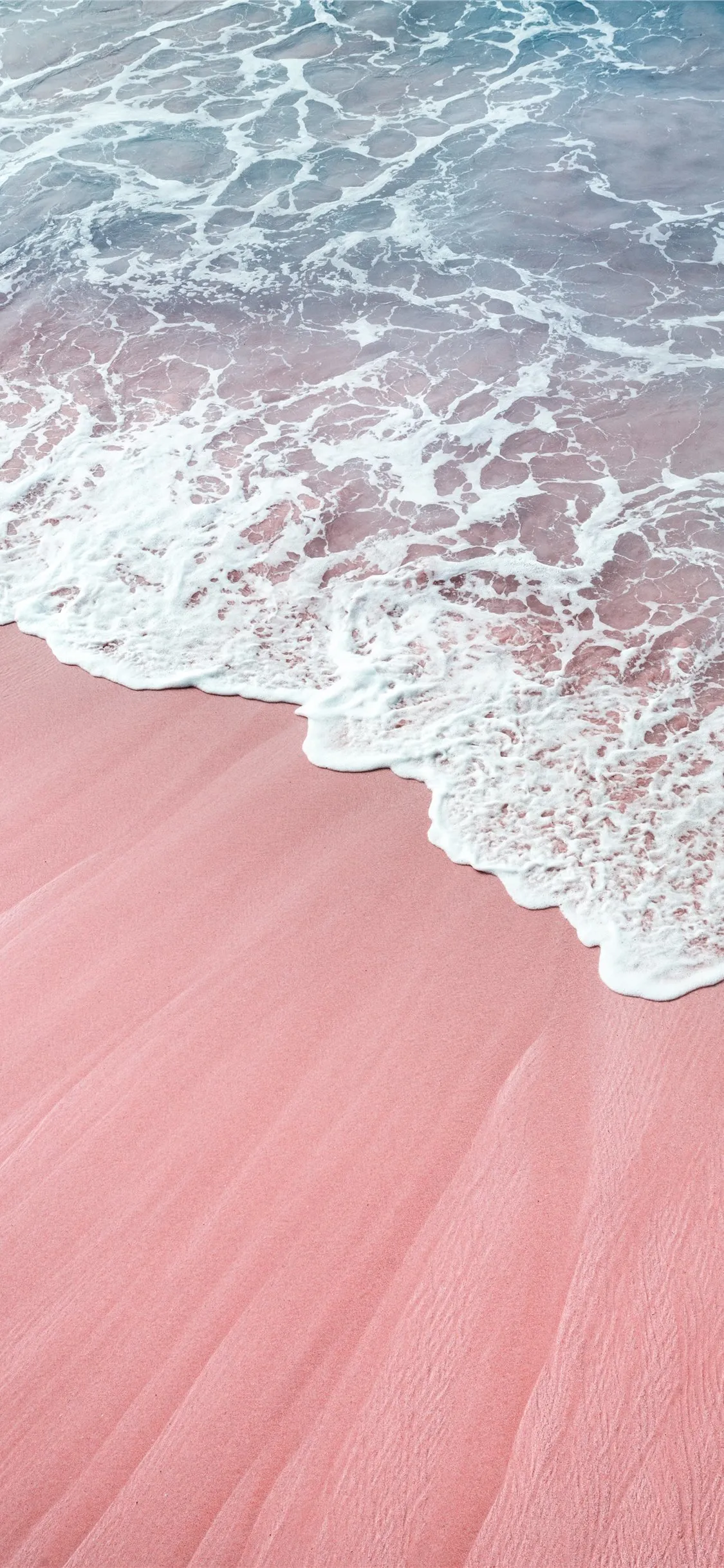 princess a OnlyFans header