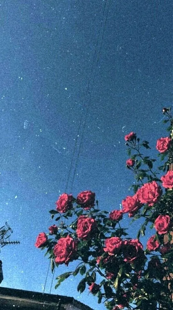 angelbaby OnlyFans header