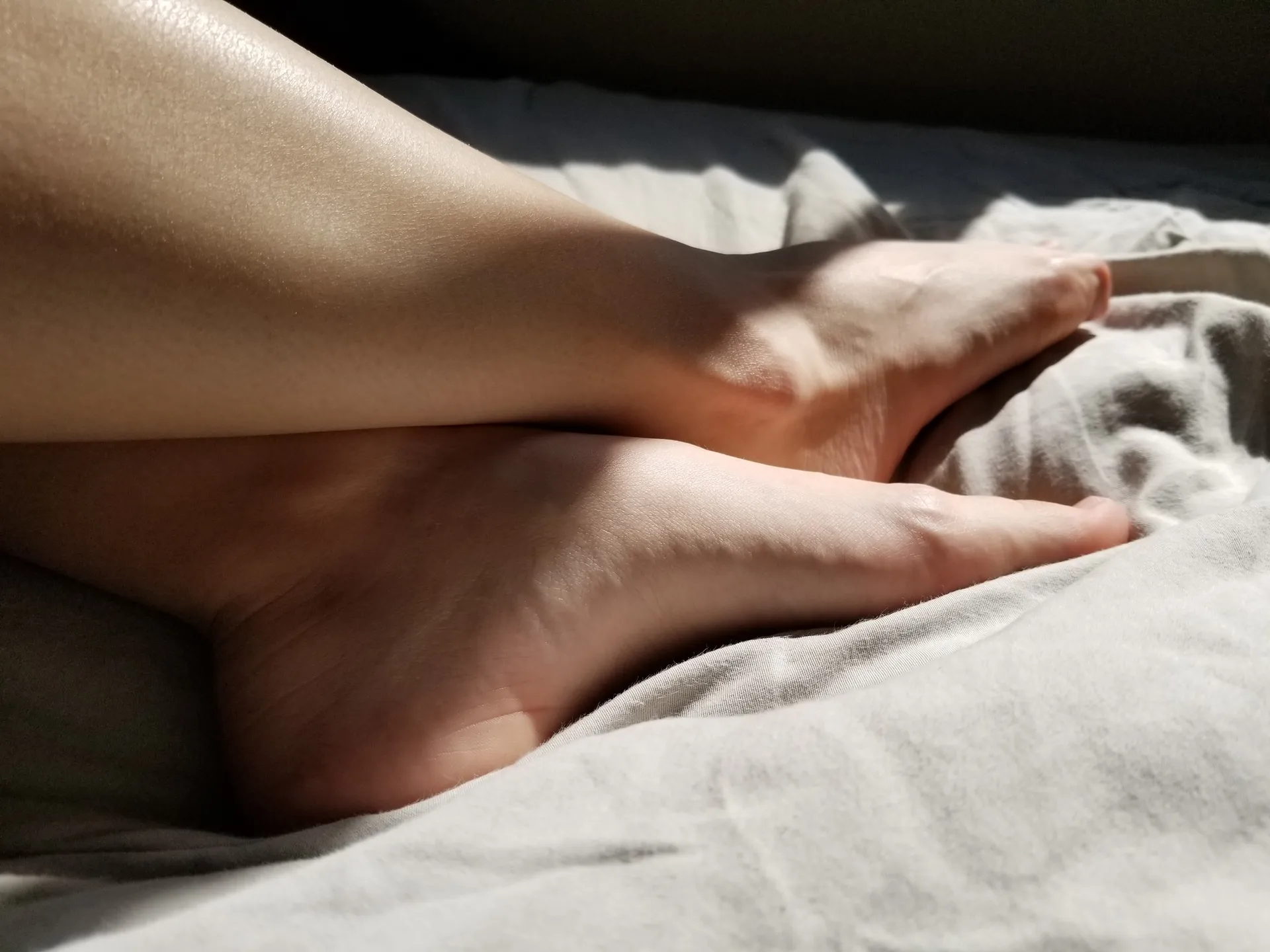 Anniefeets OnlyFans header