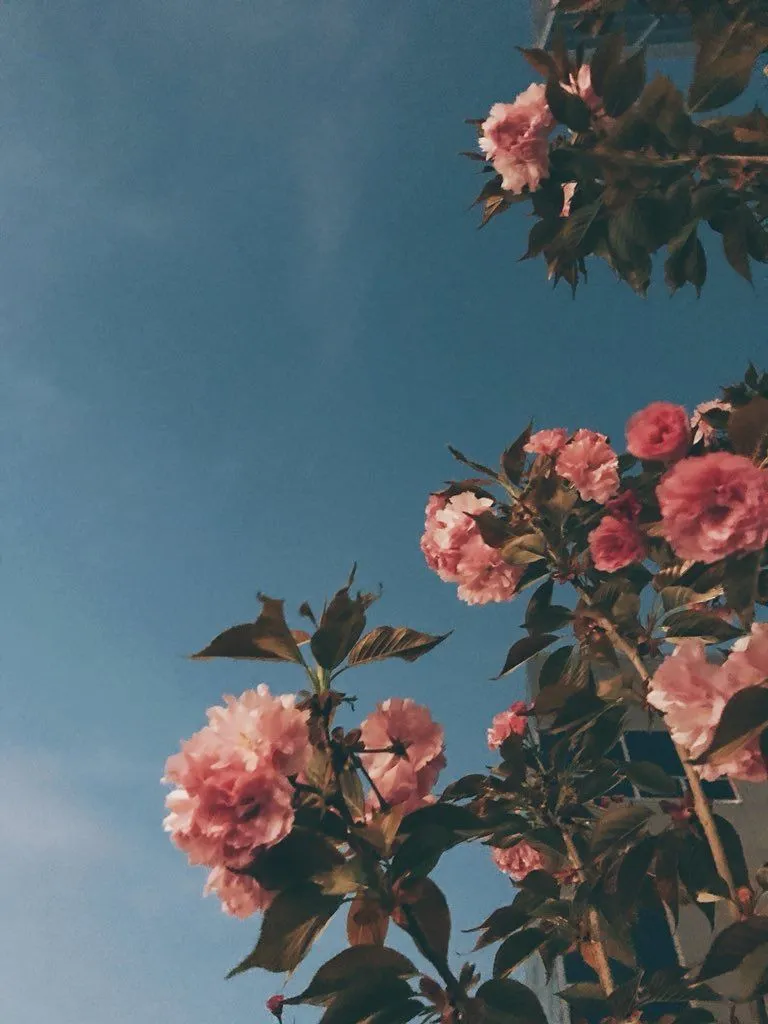 april OnlyFans header