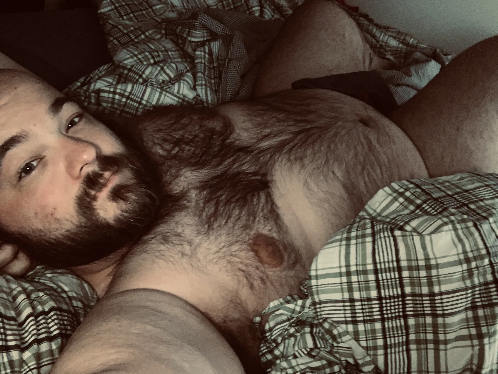 ABashfulBear OnlyFans profile picture