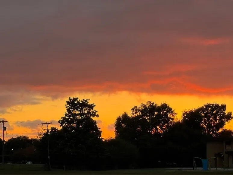 BlondesHaveMoreFun💜 OnlyFans header