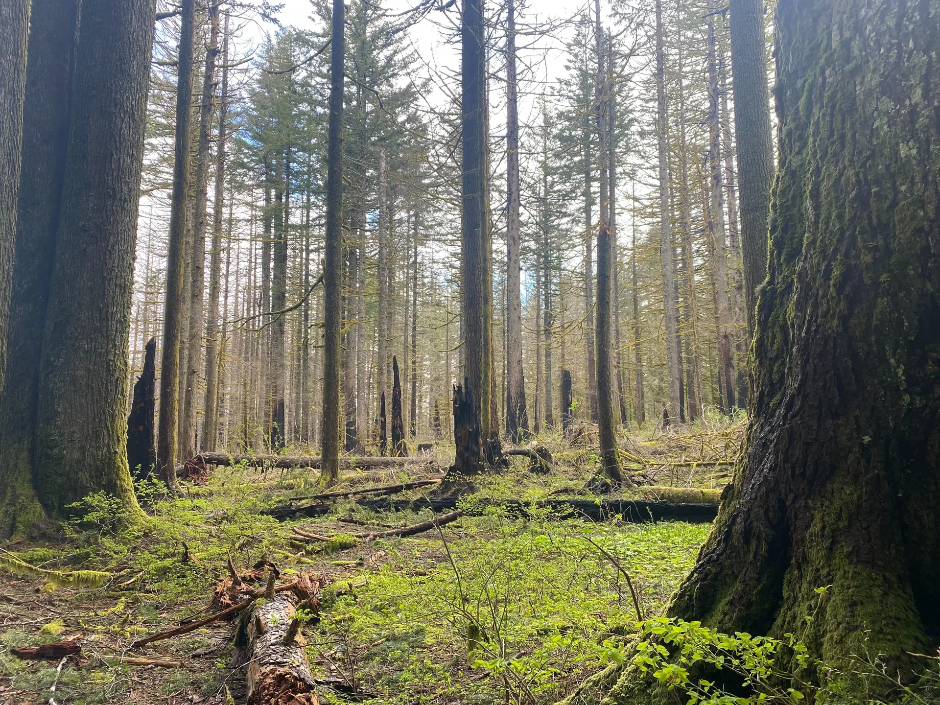 Abbie Morgan OnlyFans header