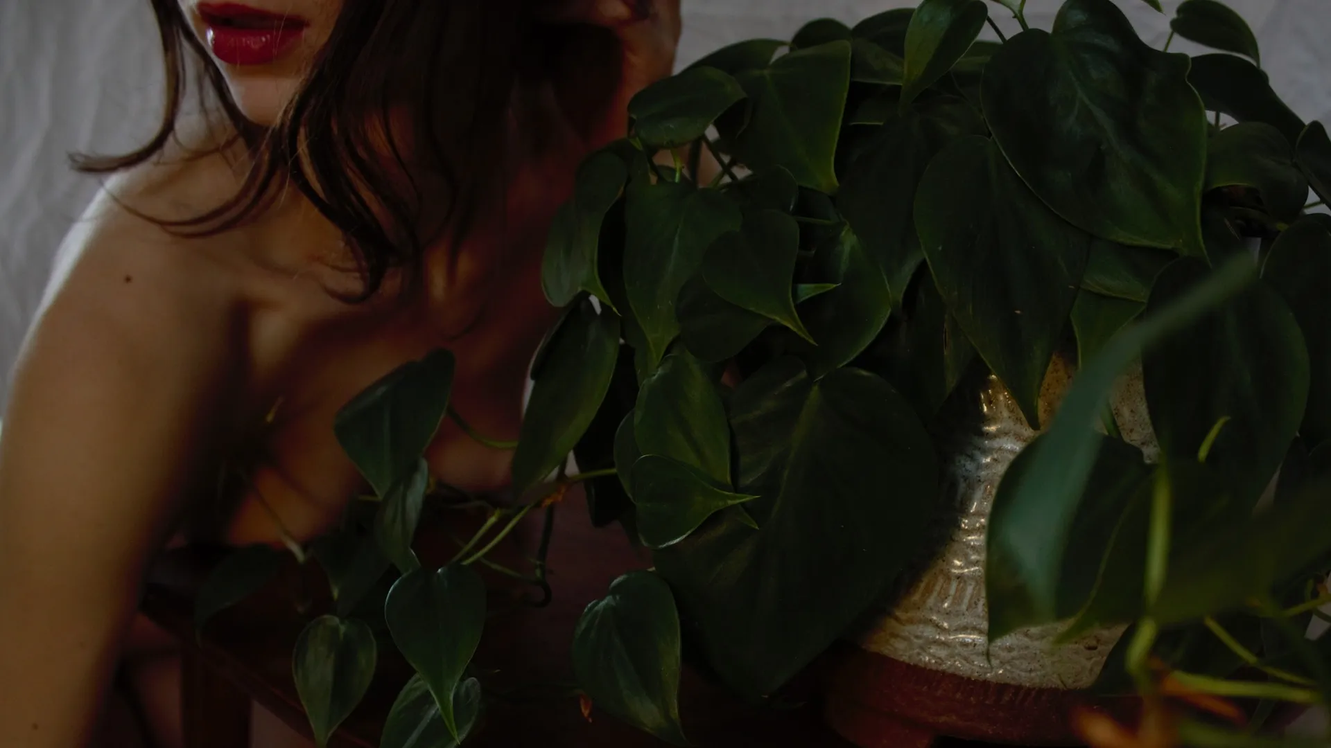 Abby Lucy OnlyFans header