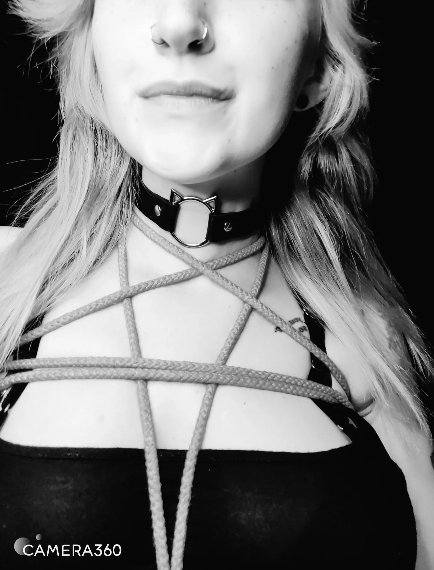 Abby Normal OnlyFans profile picture