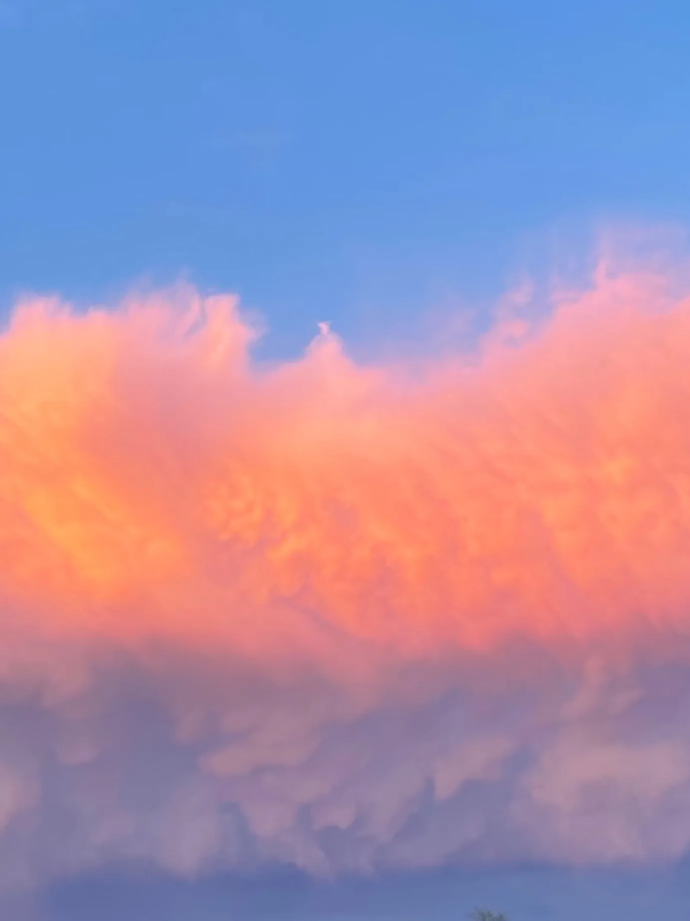 Abs OnlyFans header