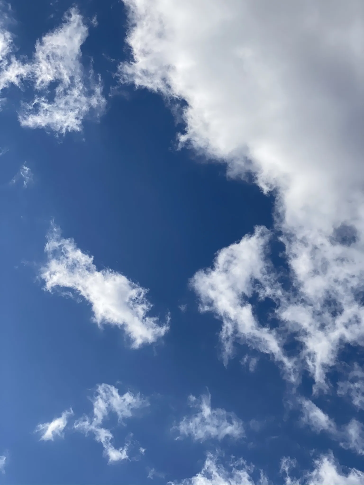 Dre OnlyFans header