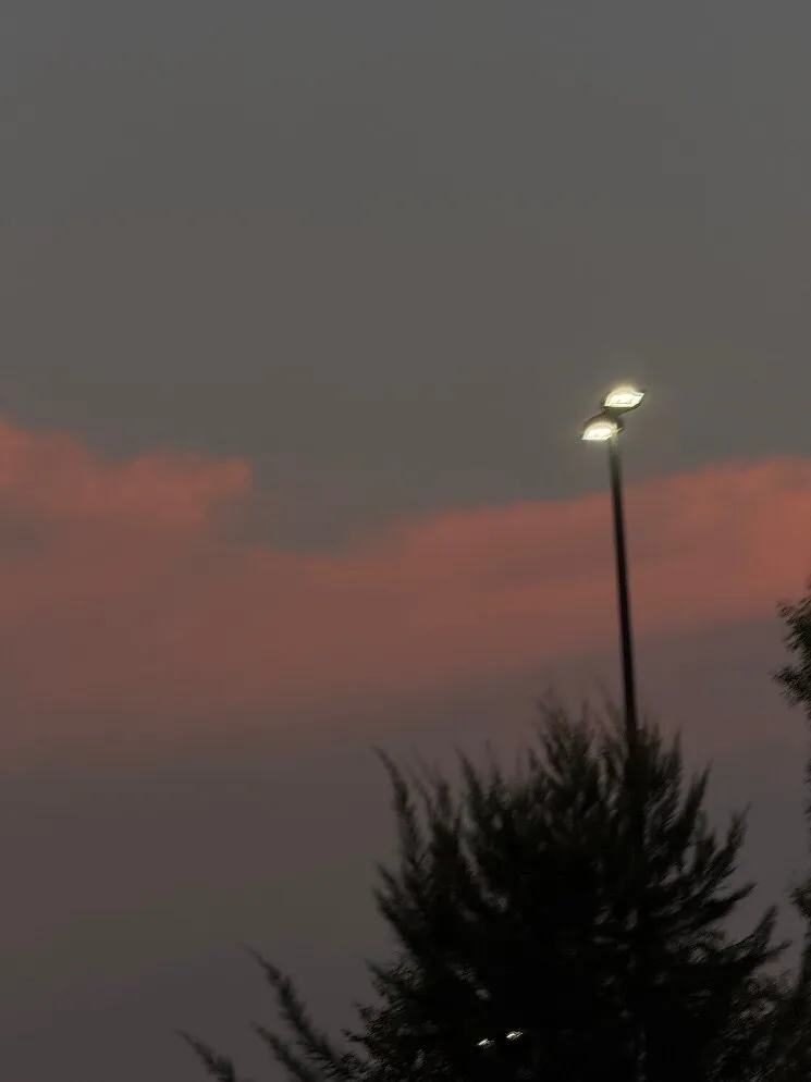Adanely OnlyFans header