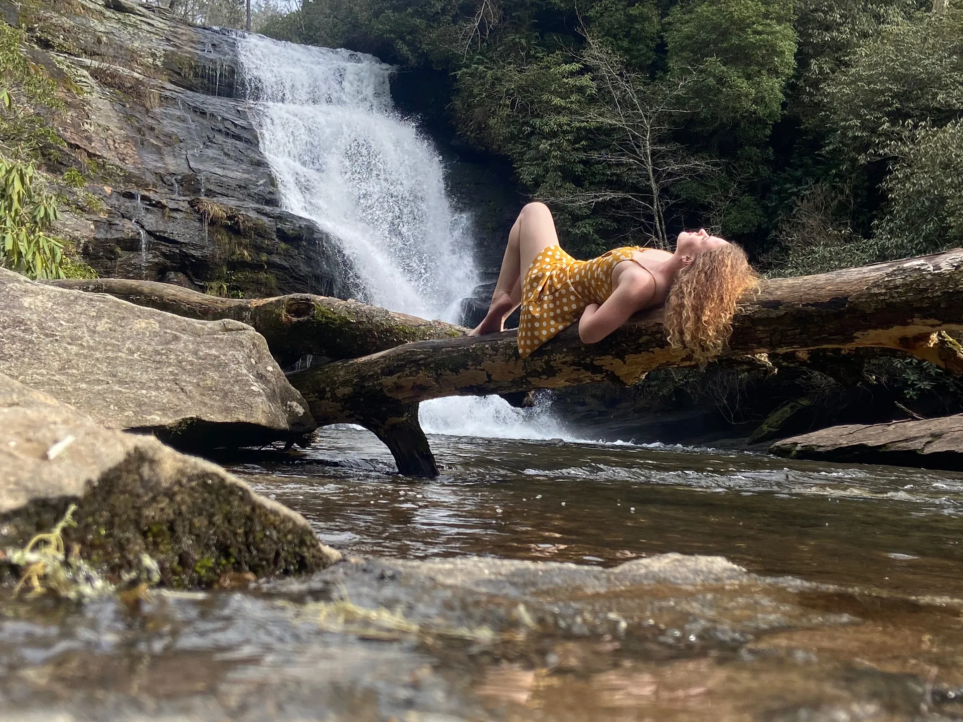 Addison OnlyFans header
