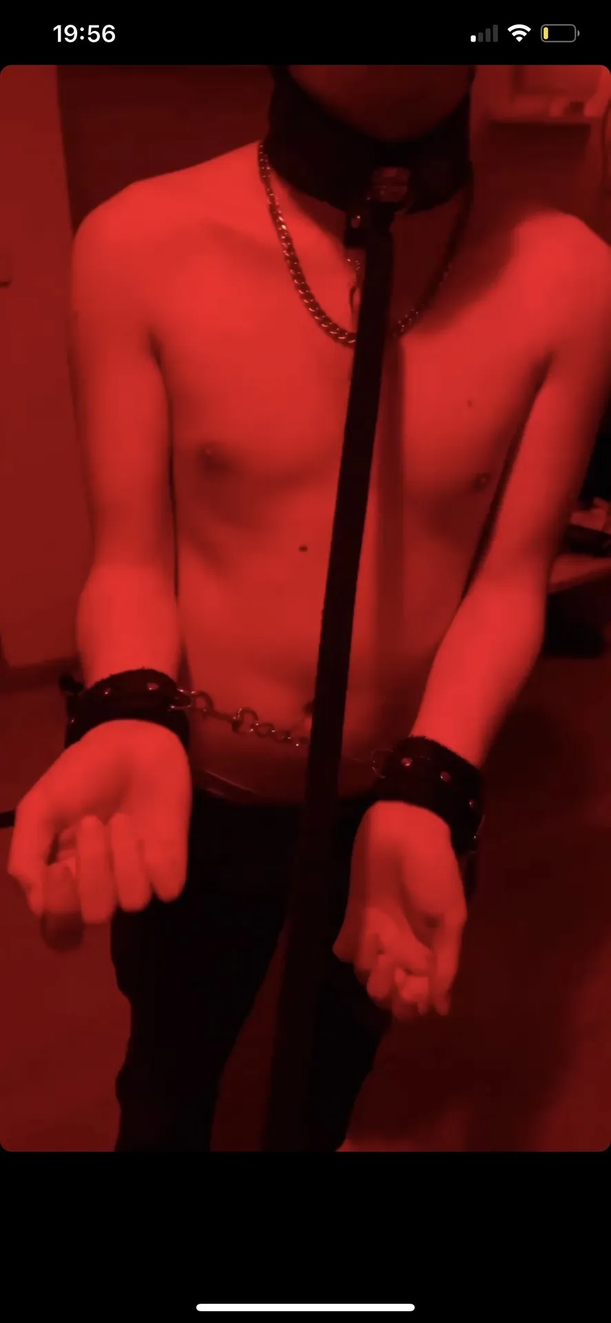 AdiestraSumisos💵🐁👑 OnlyFans header