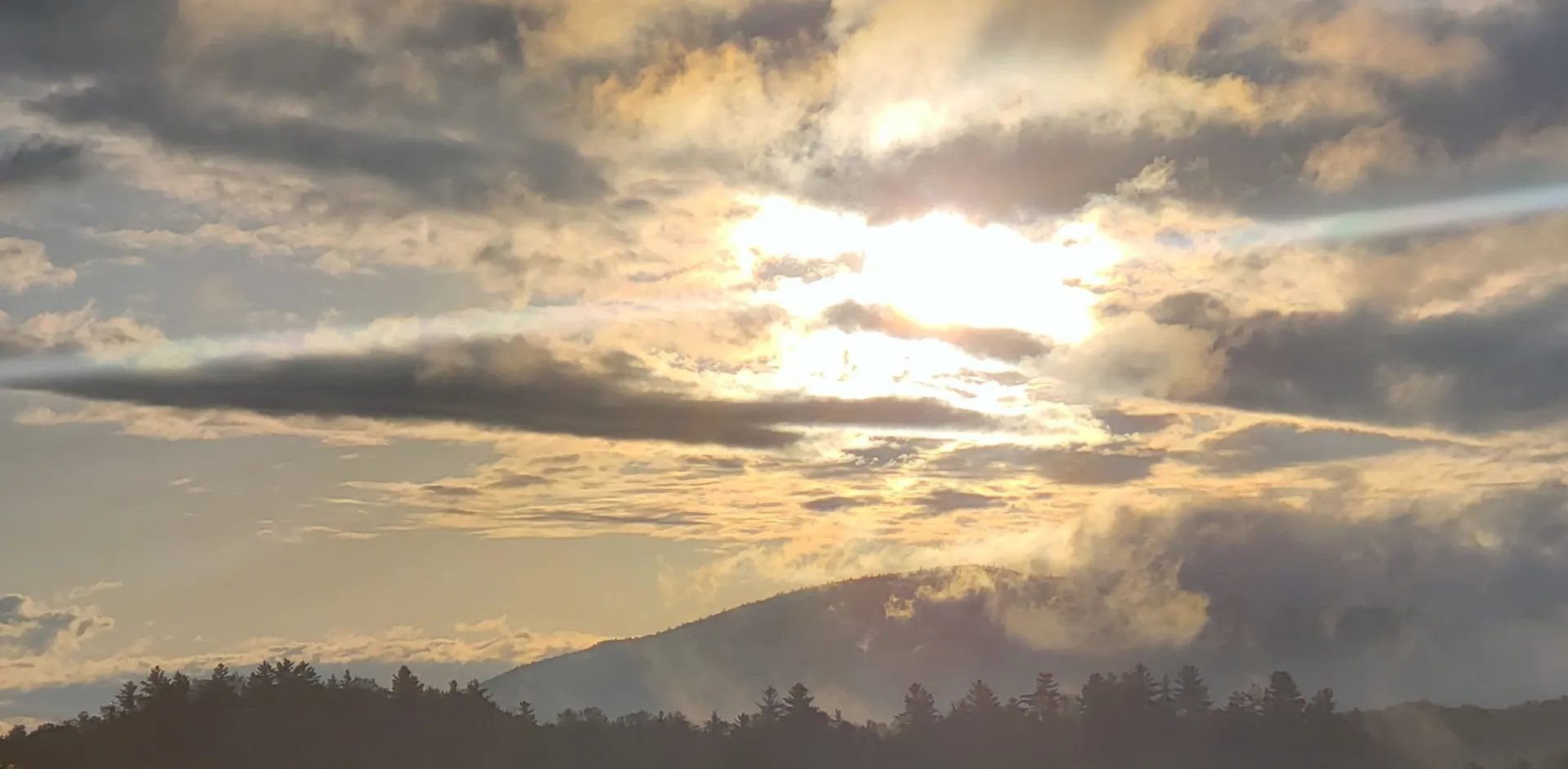 Adirondack Bear OnlyFans header
