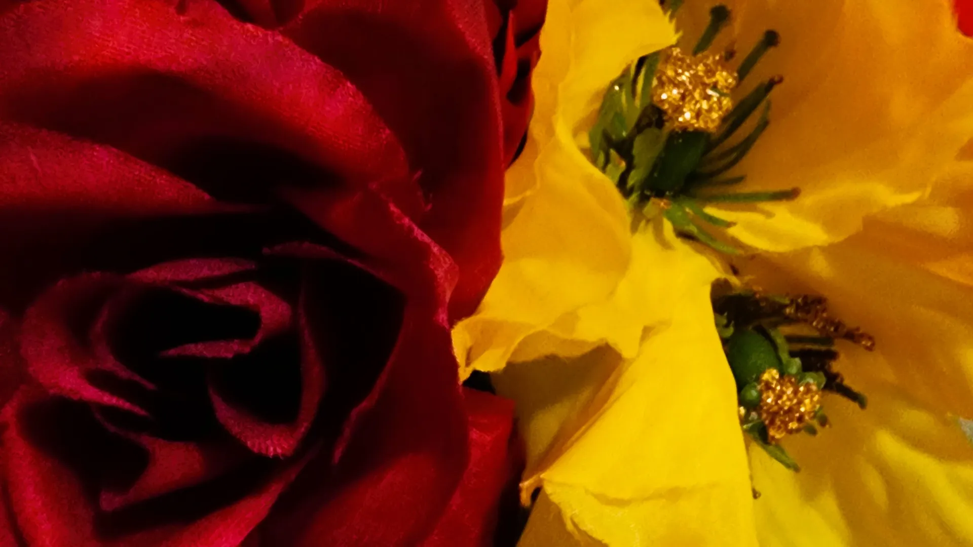 Sunny OnlyFans header